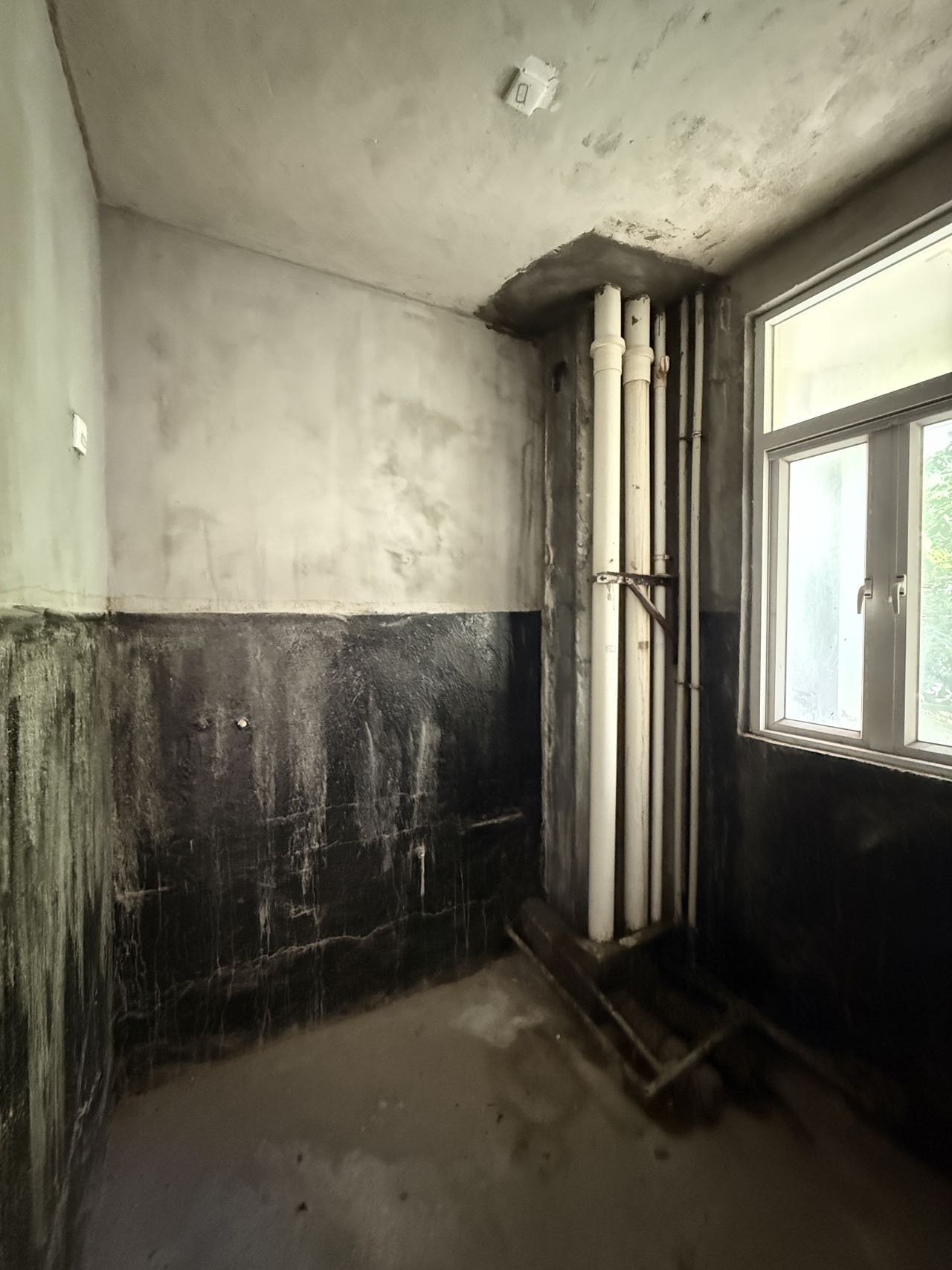 阳光经典 6室2厅5卫 100.0元/月 阳光经典 6室2厅5卫 100.0元/月室内图