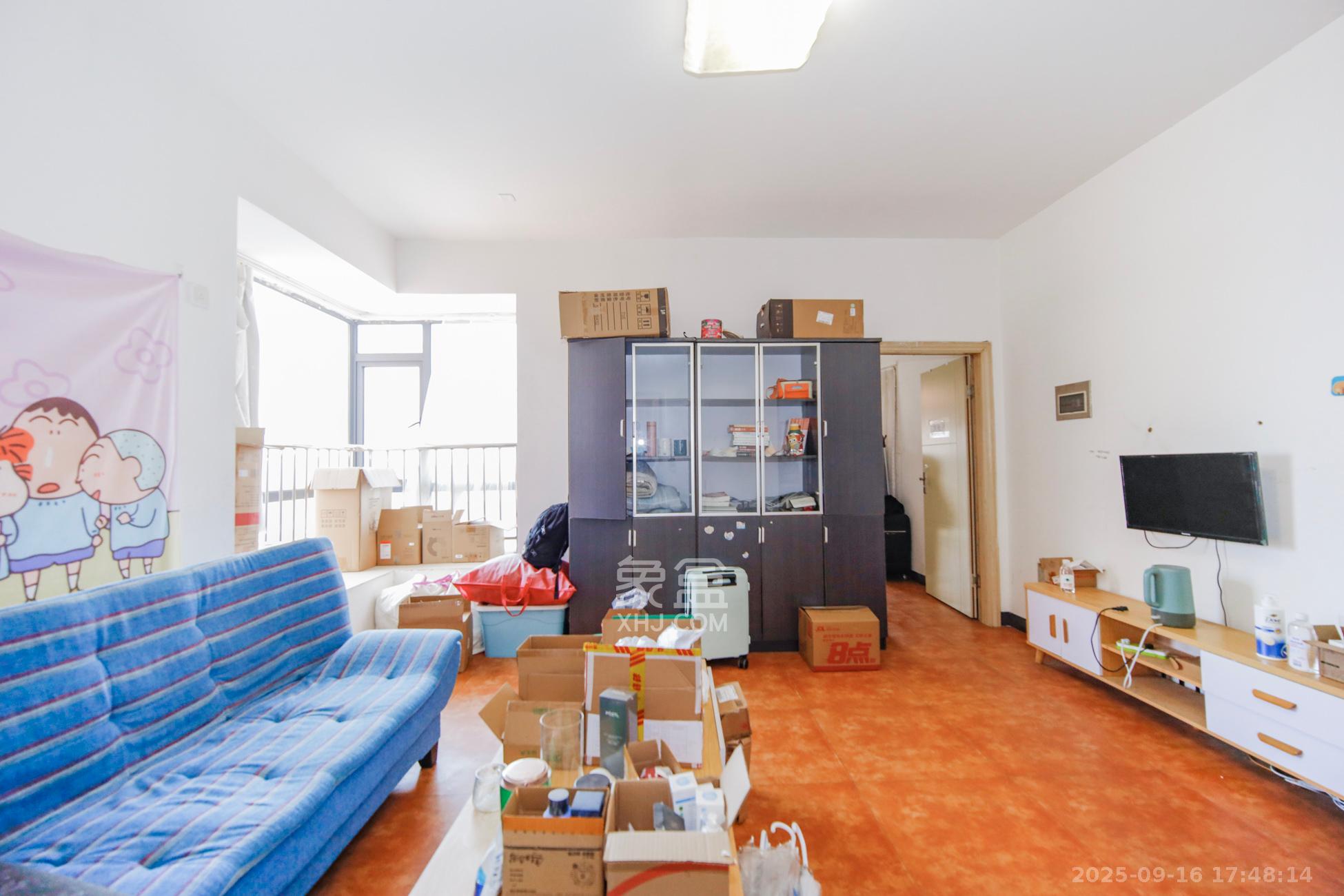 金领家族  1室1厅1卫    33.8万客厅