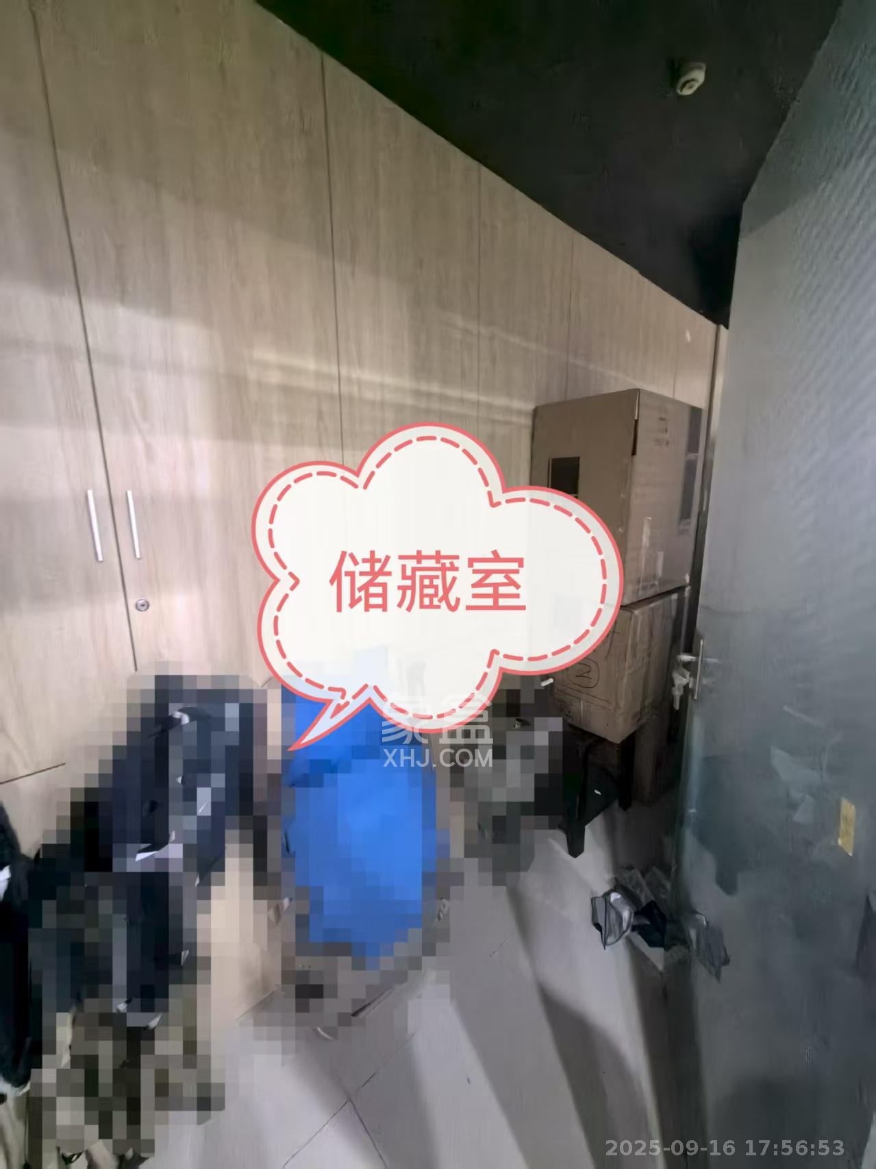 新时空  1室1厅1卫   5000.00元/月