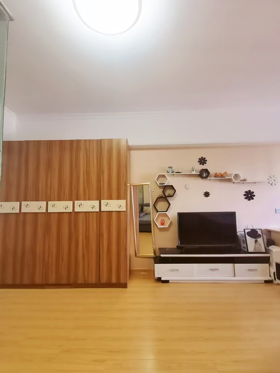 佳源罗马都市 1室1厅1卫 1500.0元/月 佳源罗马都市 1室1厅1卫 1500.0元/月室内图