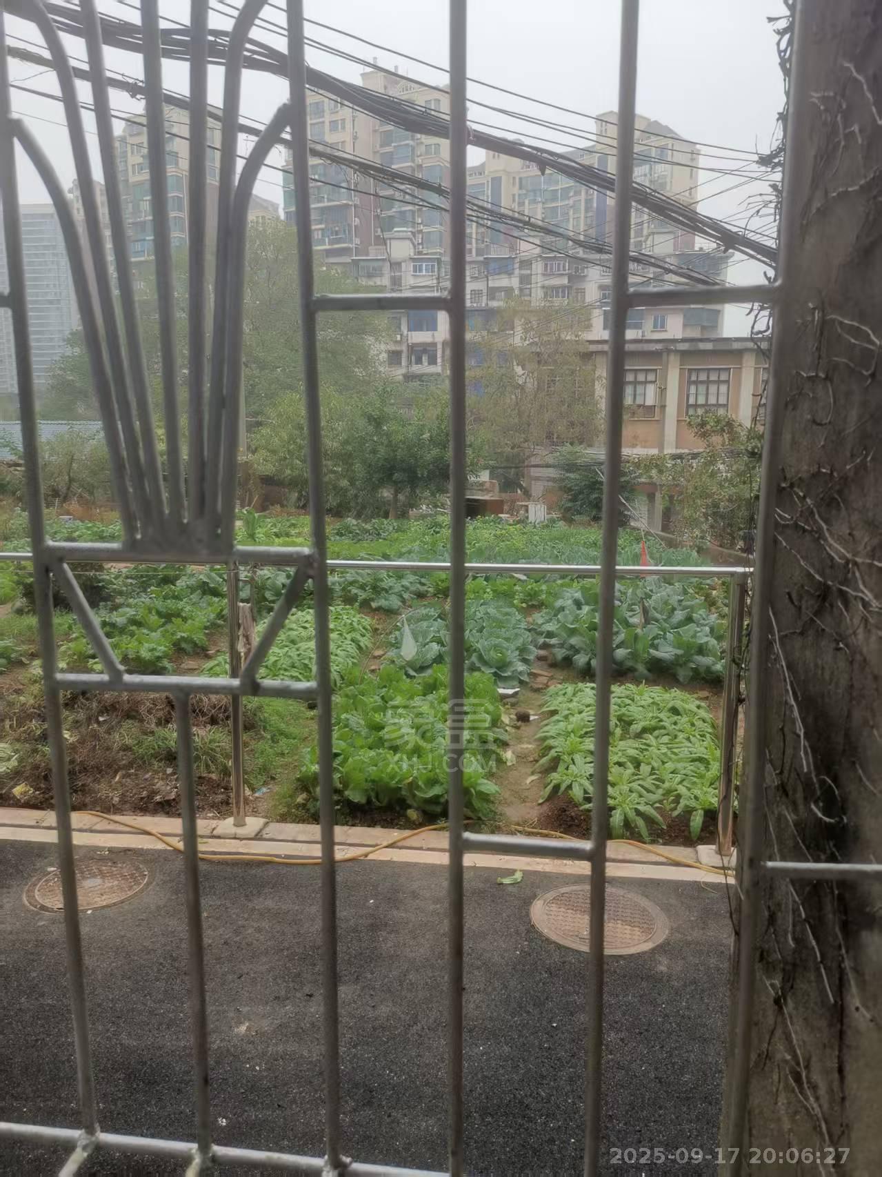桂花路散盘  2室2厅1卫   800.00元/月小区图
