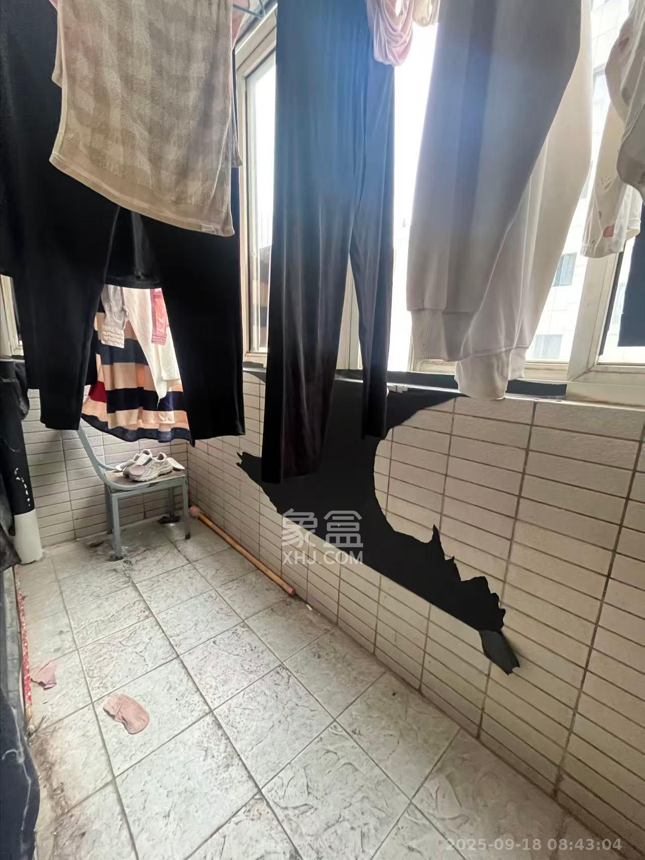 明星村 4室2厅2卫 3600.0元/月 明星村 4室2厅2卫 3600.0元/月室内图