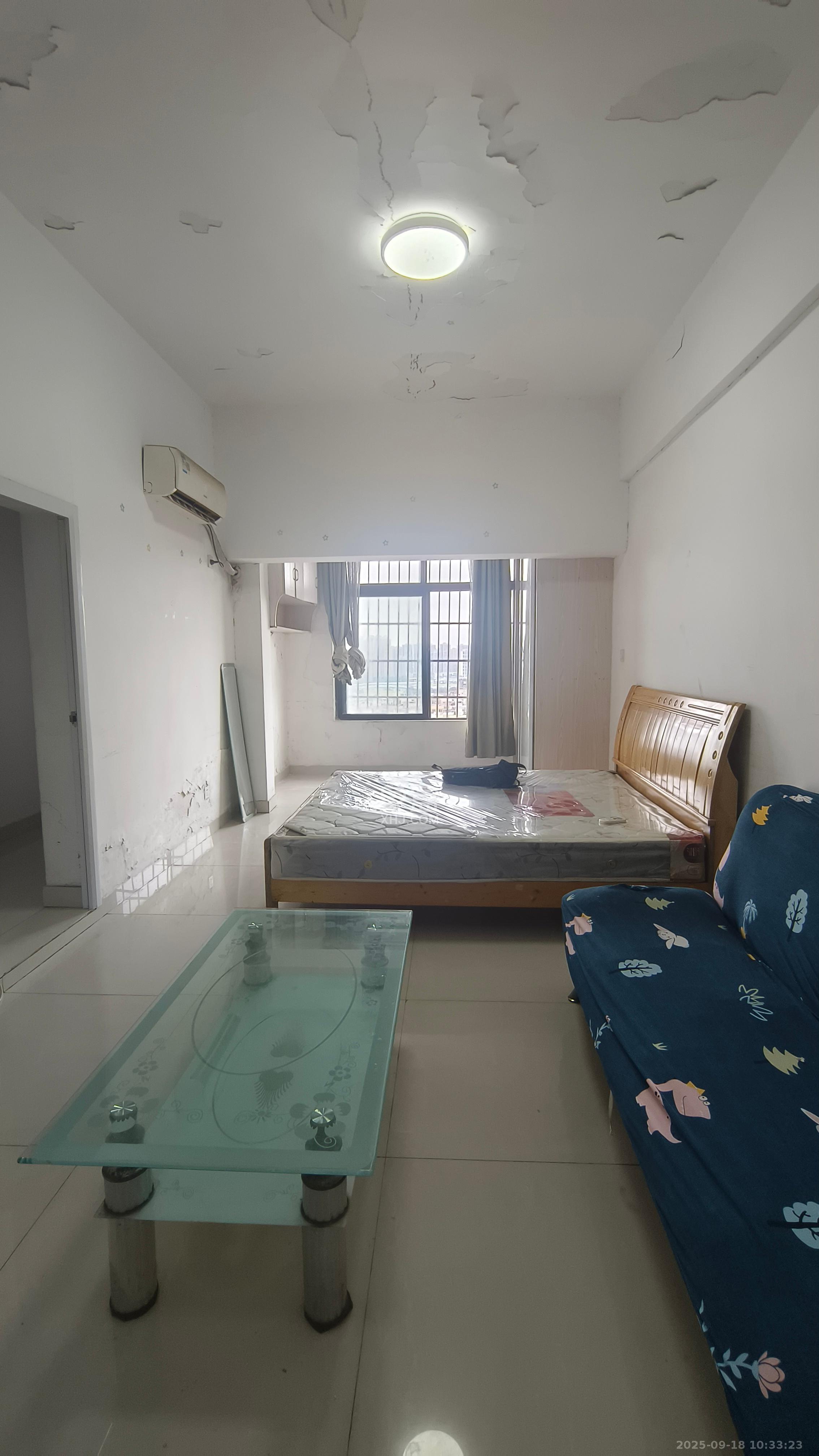 红树湾 1室1厅1卫 1150.0元/月 红树湾 1室1厅1卫 1150.0元/月室内图