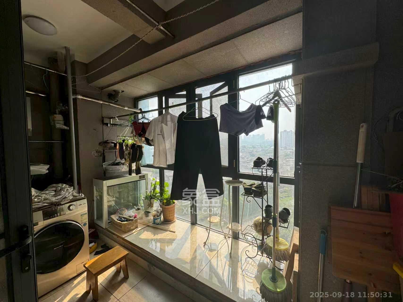 碧桂园威尼斯城  3室2厅2卫    3400.0元/月室内图