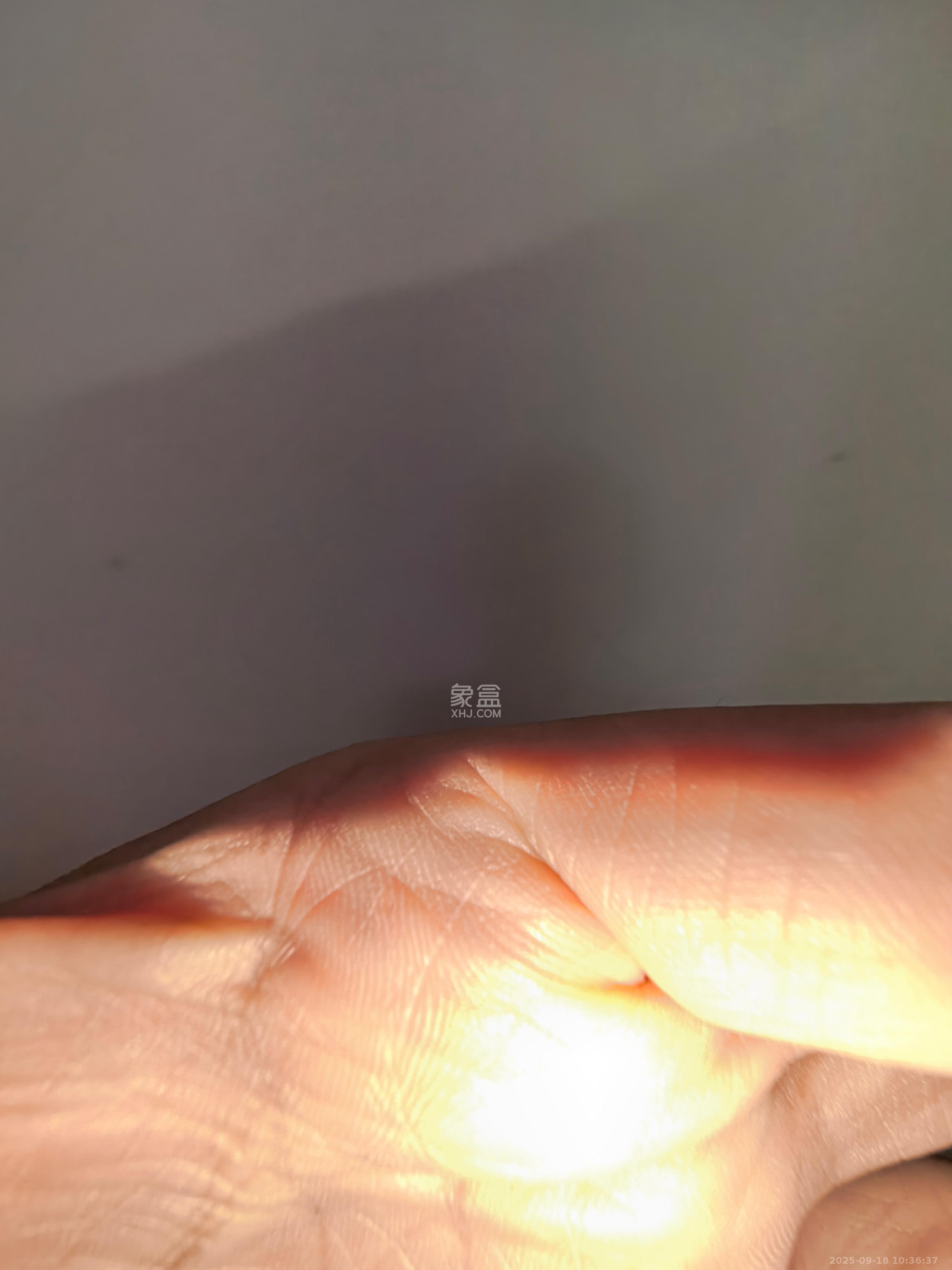 左岸春天  1室0厅0卫   2500.00元/月室内图