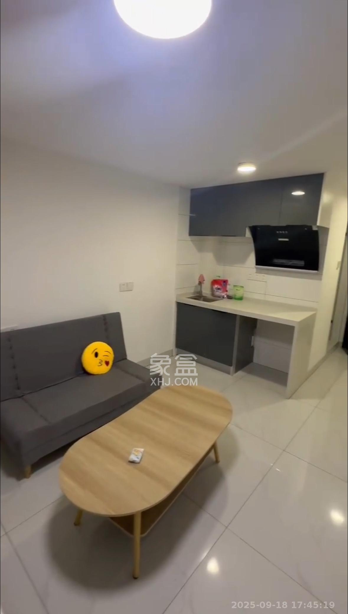 龙湖新壹城 1室1厅1卫 1500.0元/月 龙湖新壹城 1室1厅1卫 1500.0元/月室内图