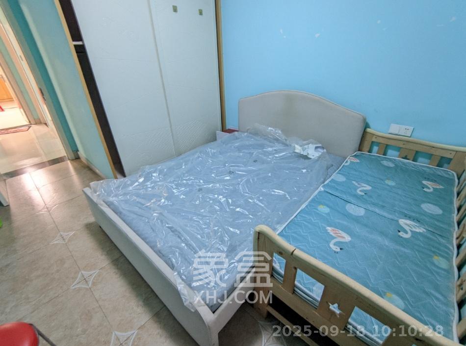上河国际C区  3室1厅1卫   2500.00元/月室内图