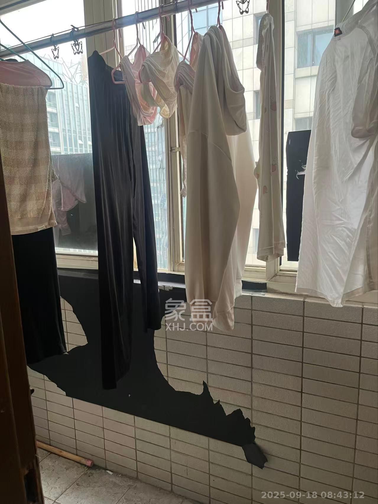 明星村 4室2厅2卫 3600.0元/月 明星村 4室2厅2卫 3600.0元/月室内图