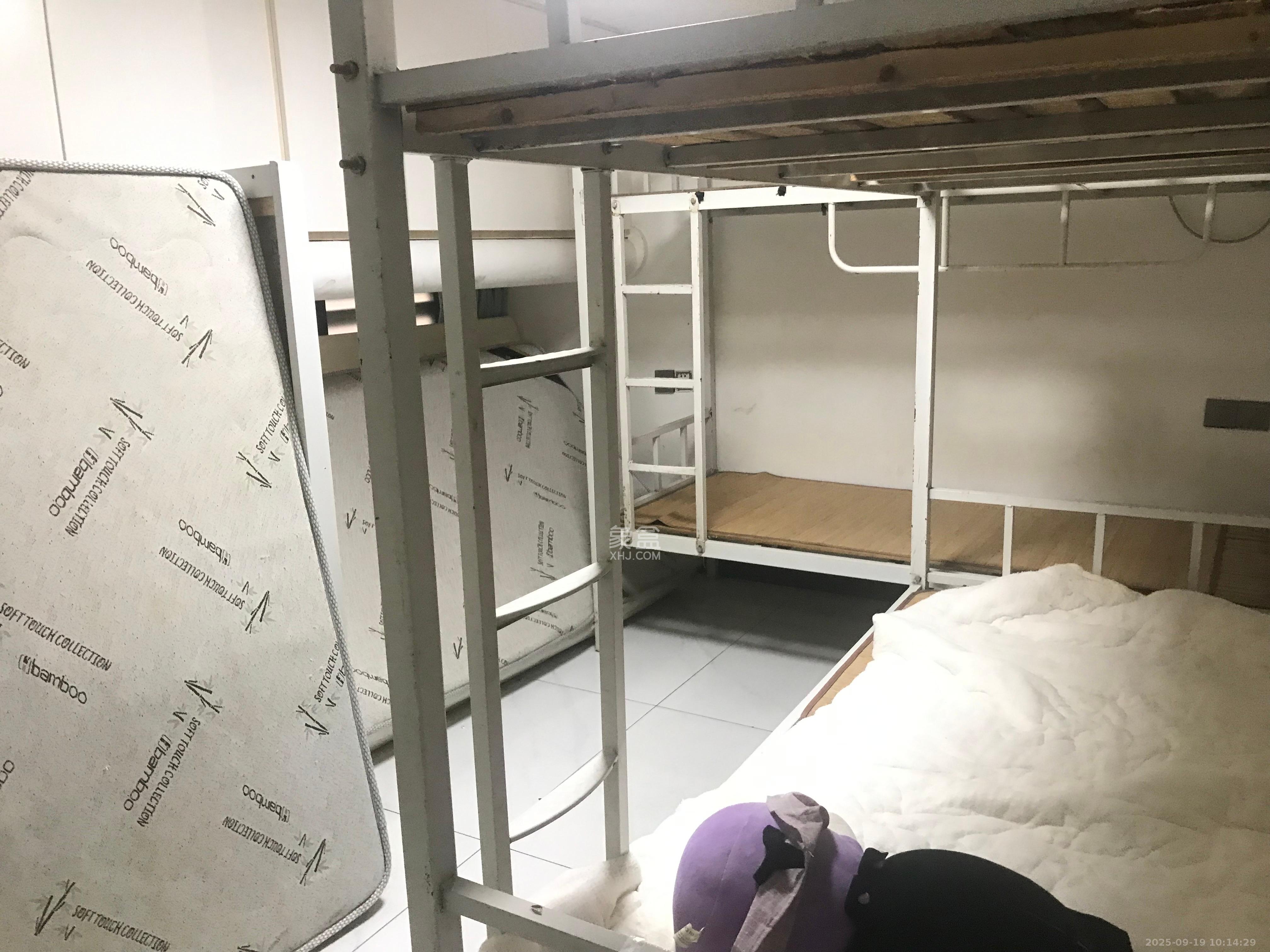 金科时代中心   80.0㎡      1600.0元/月室内图