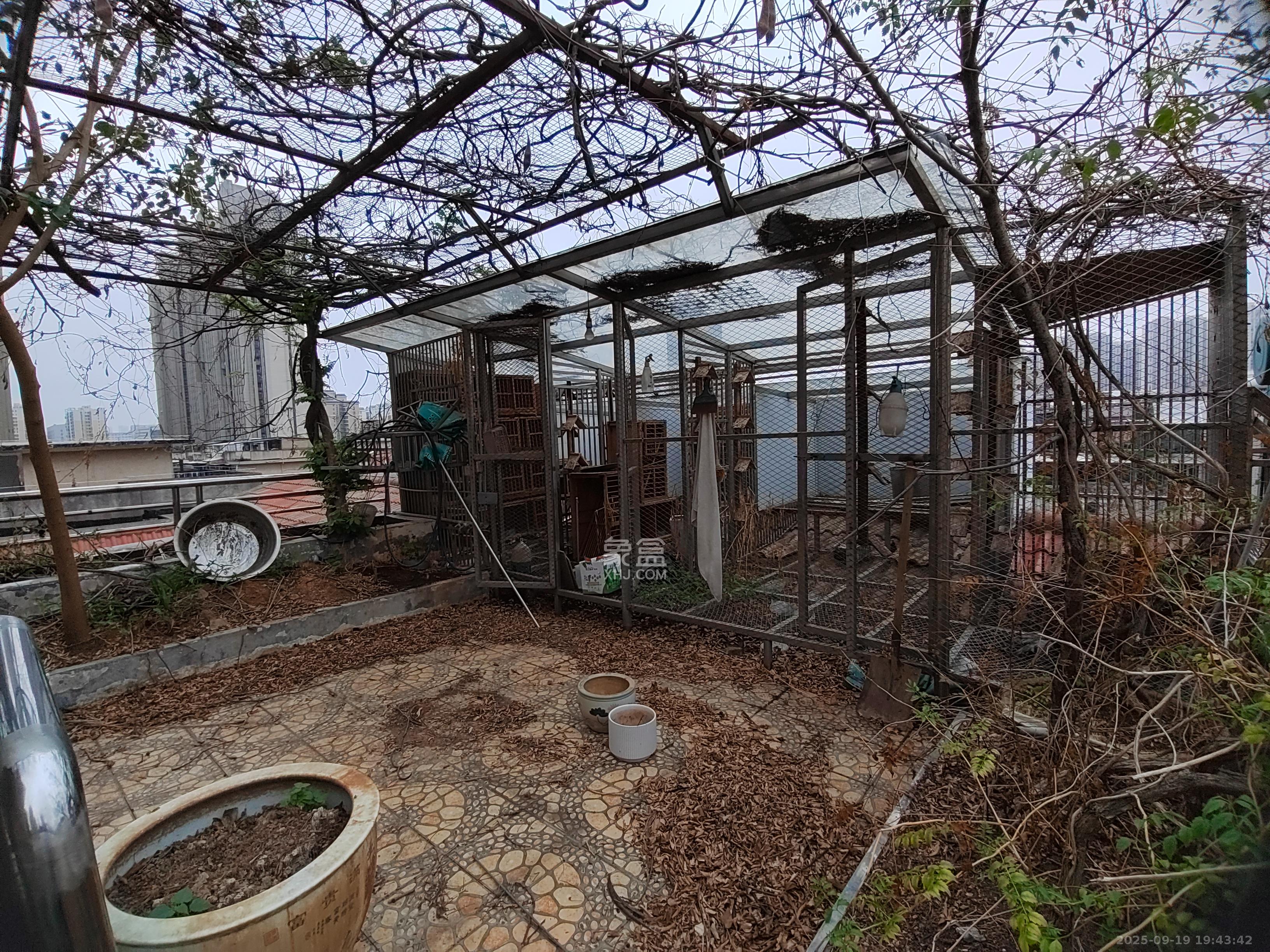 新雅园  3室2厅2卫    2000.0元/月小区图