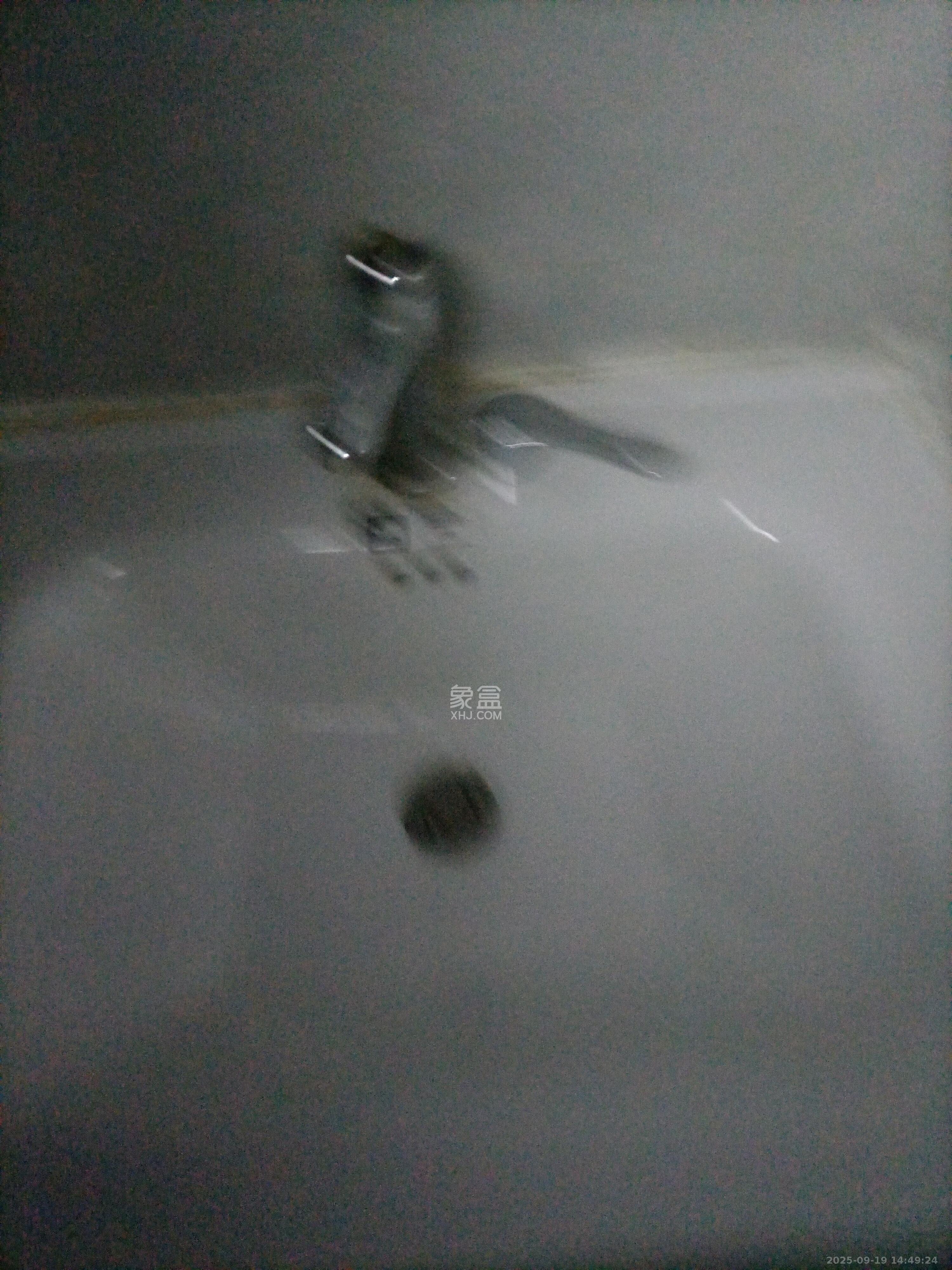 长丰小区  1室0厅0卫    1350.0元/月