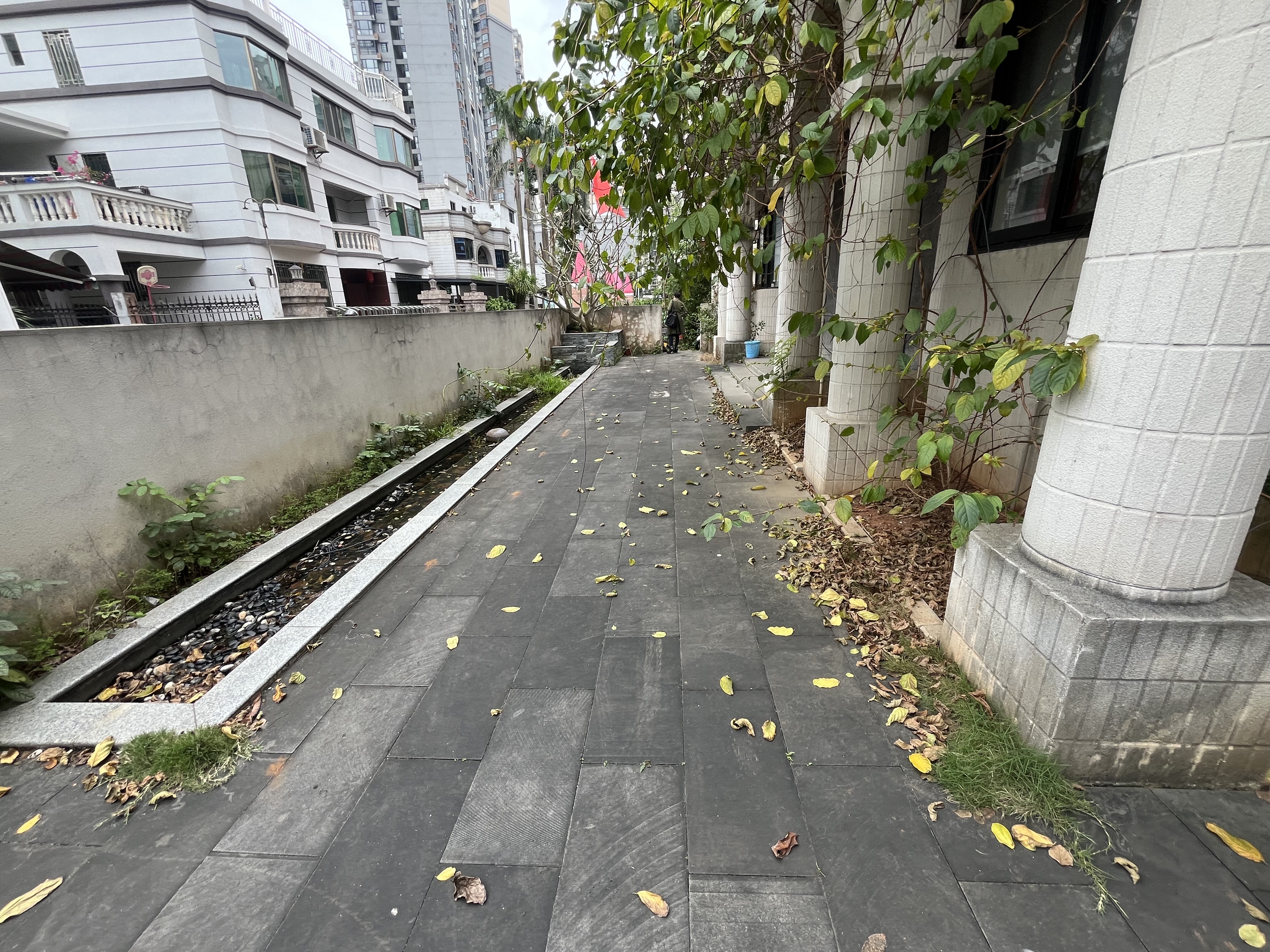 梨园别墅（龙昆南）  7室2厅4卫   20000.00元/月室内图