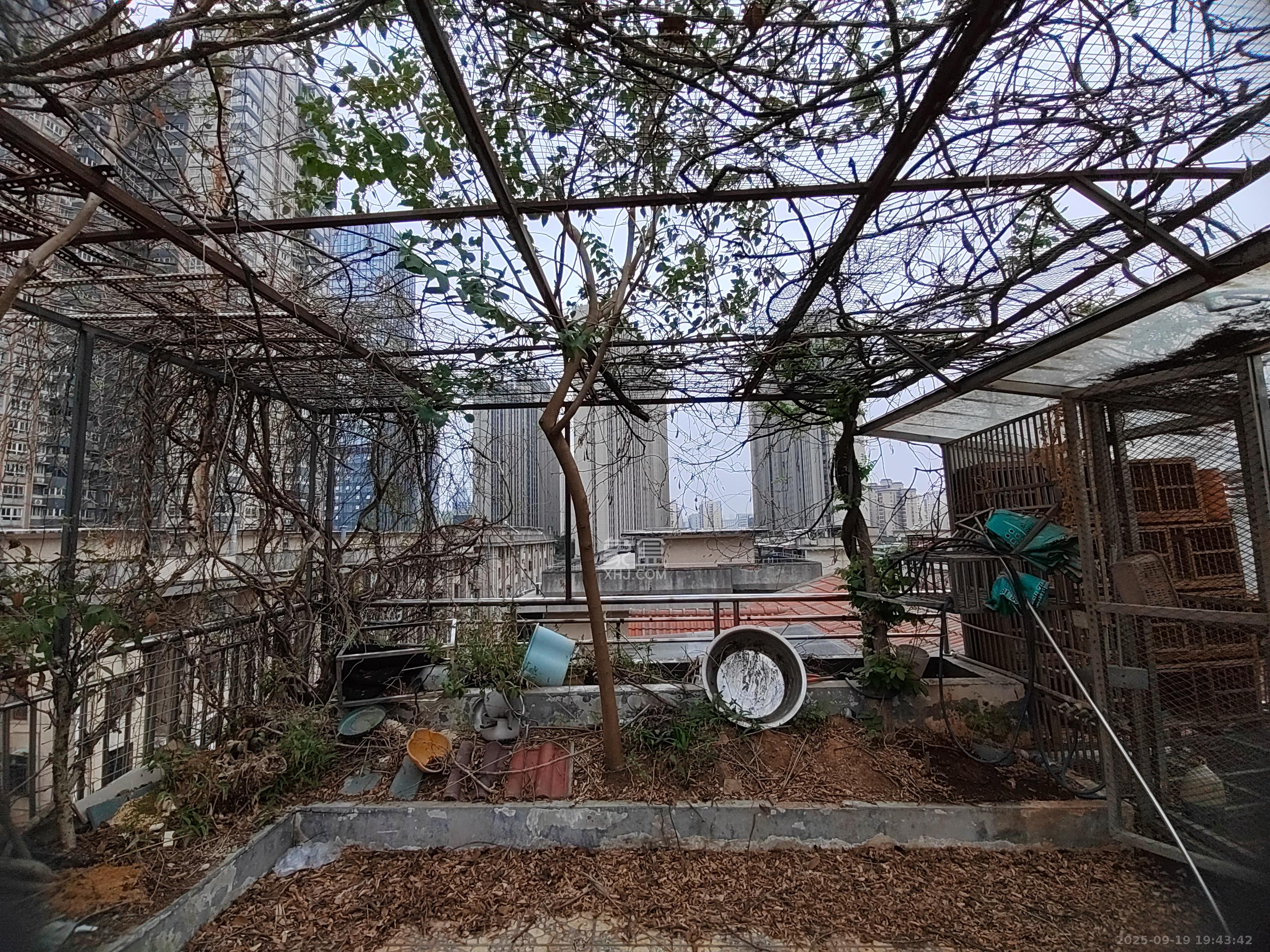 新雅园 3室2厅2卫 2000.0元/月 新雅园 3室2厅2卫 2000.0元/月小区图