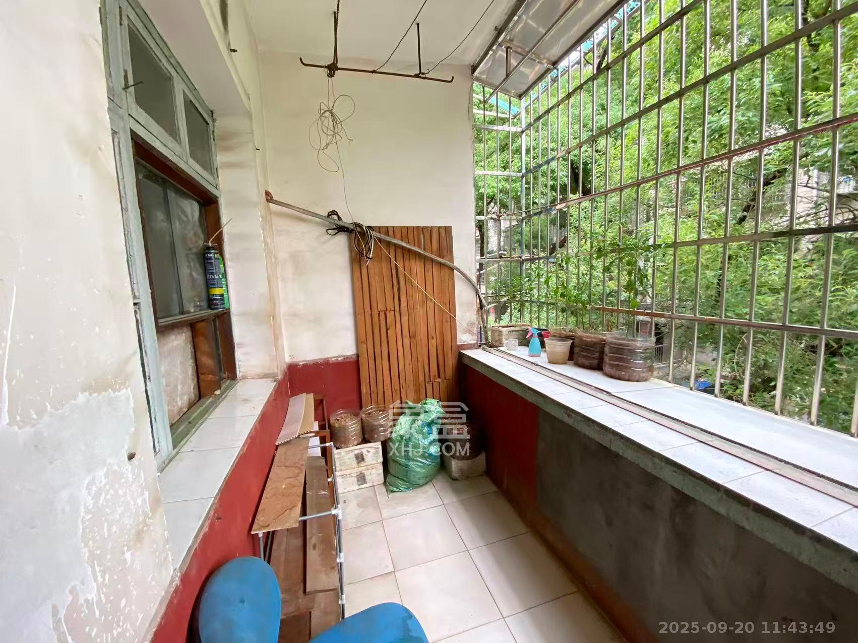 红旗区二片  2室1厅1卫    1200.0元/月室内图