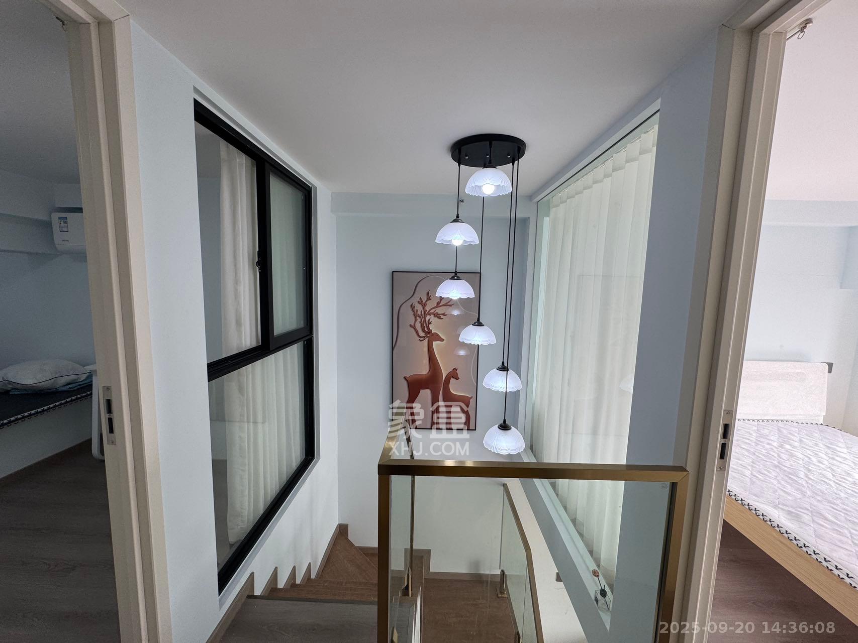 龙湖铂金岛  2室1厅1卫    2400.0元/月室内图