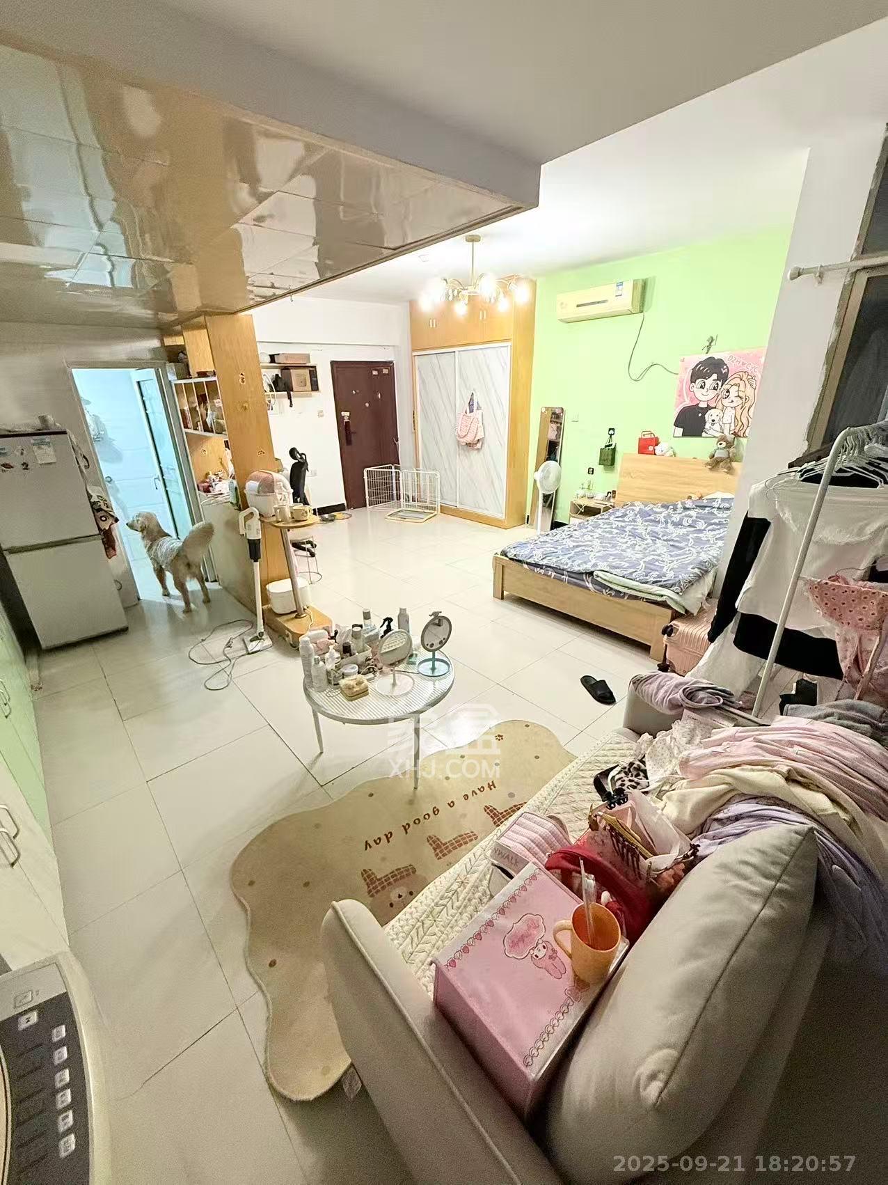 香颂国际 1室1厅1卫 1550.0元/月 香颂国际 1室1厅1卫 1550.0元/月室内图