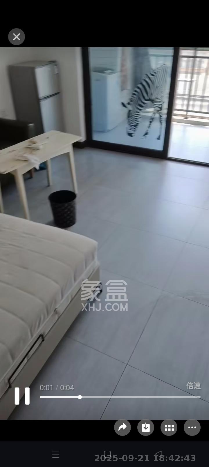 富兴旺角 1室0厅1卫 1200.0元/月 富兴旺角 1室0厅1卫 1200.0元/月室内图