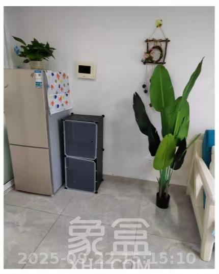 洋湖时代 1室1厅1卫 1600.0元/月 洋湖时代 1室1厅1卫 1600.0元/月室内图