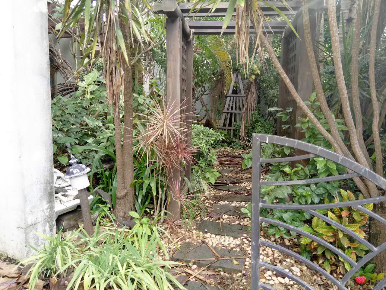 泰达比华利山庄  6室2厅6卫    1500.0万室内图