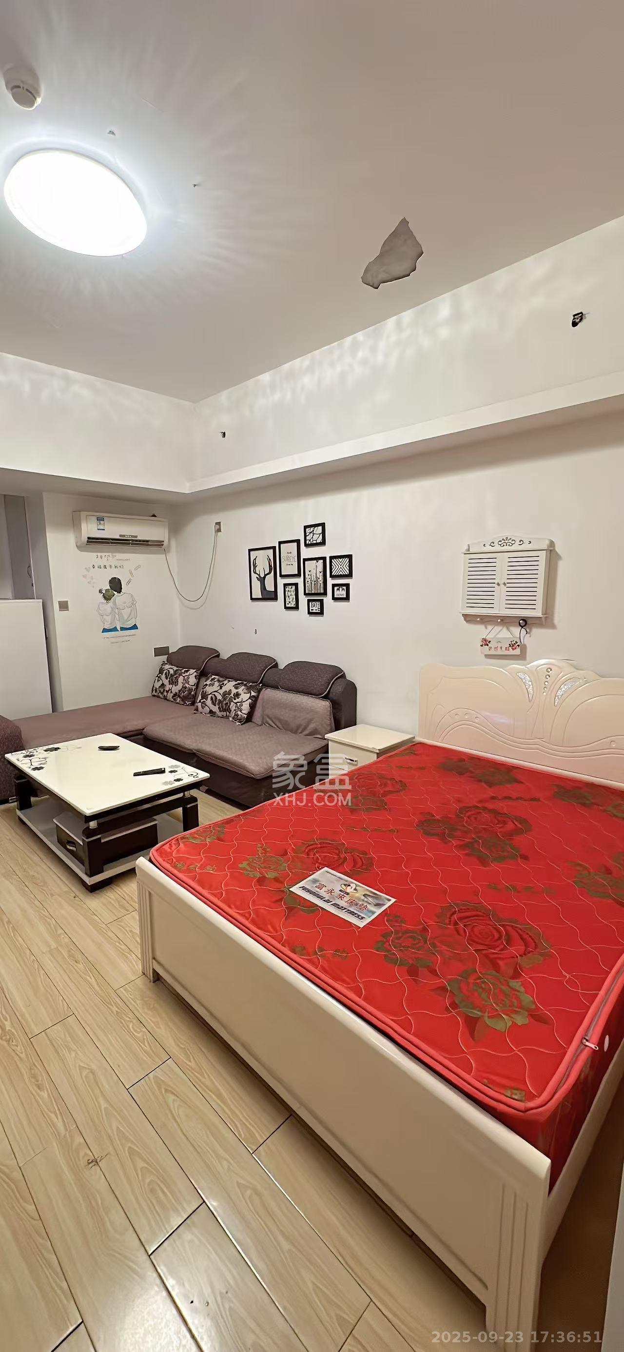 奥克斯广场 1室1厅1卫 1500.0元/月 奥克斯广场 1室1厅1卫 1500.0元/月室内图