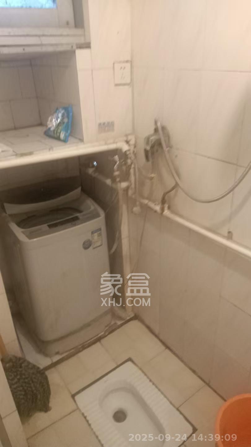 三兴公寓(三兴小区) 2室1厅1卫 1500.0元/月 三兴公寓(三兴小区) 2室1厅1卫 1500.0元/月室内图