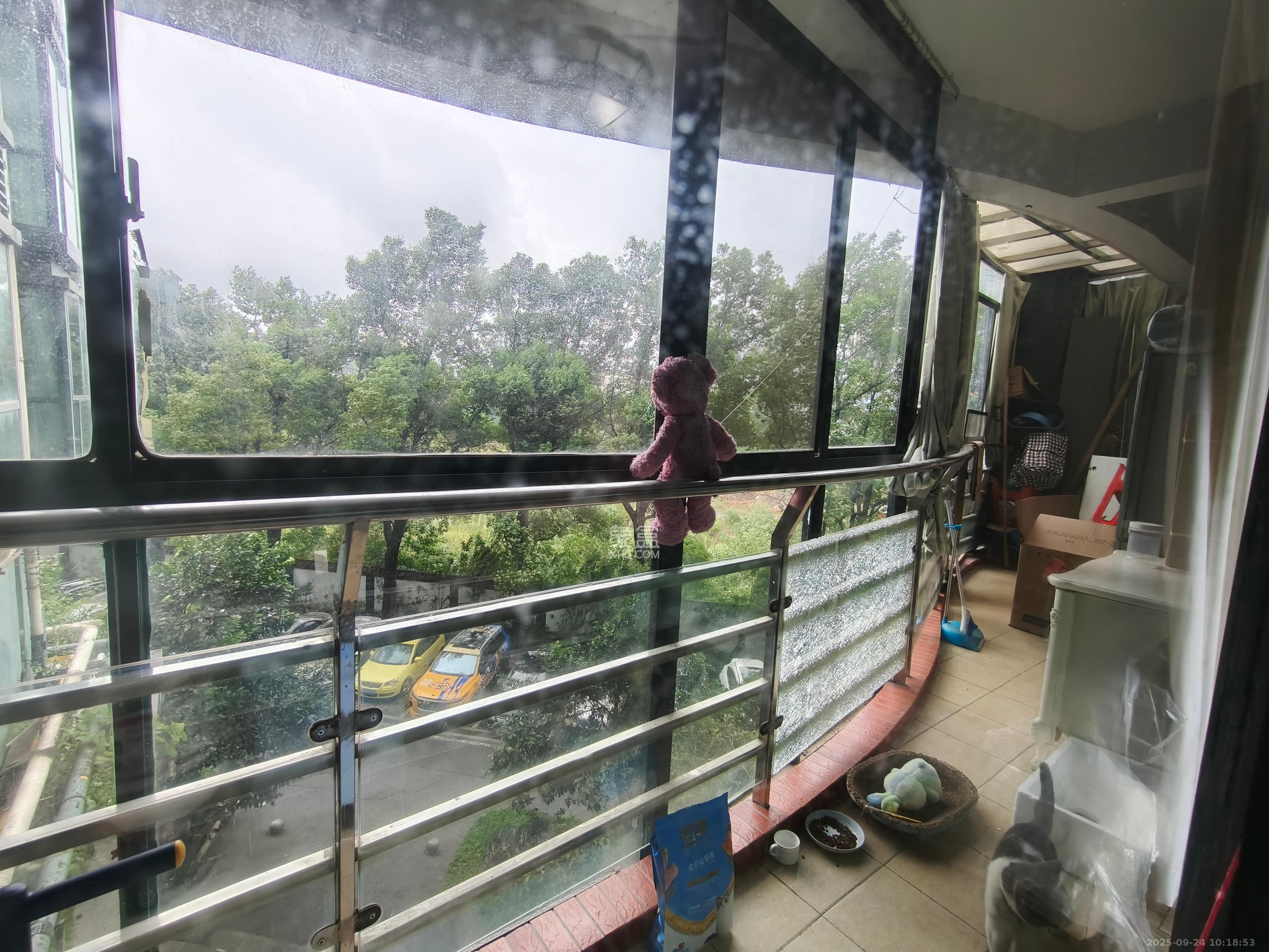 华盛新外滩  3室1厅1卫    3300.0元/月 华盛新外滩  3室1厅1卫    3300.0元/月