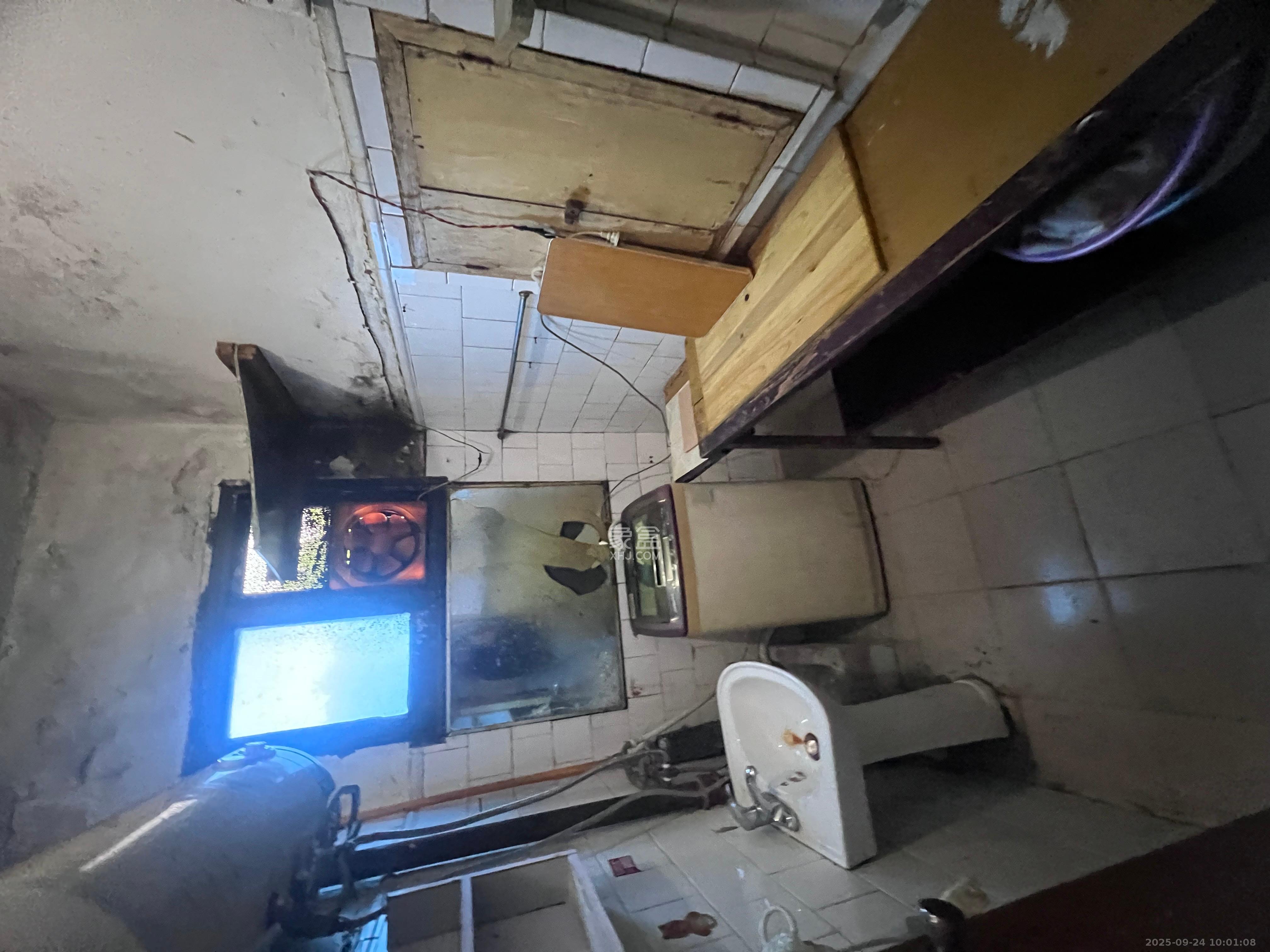 五一东村  1室0厅1卫    1000.0元/月室内图