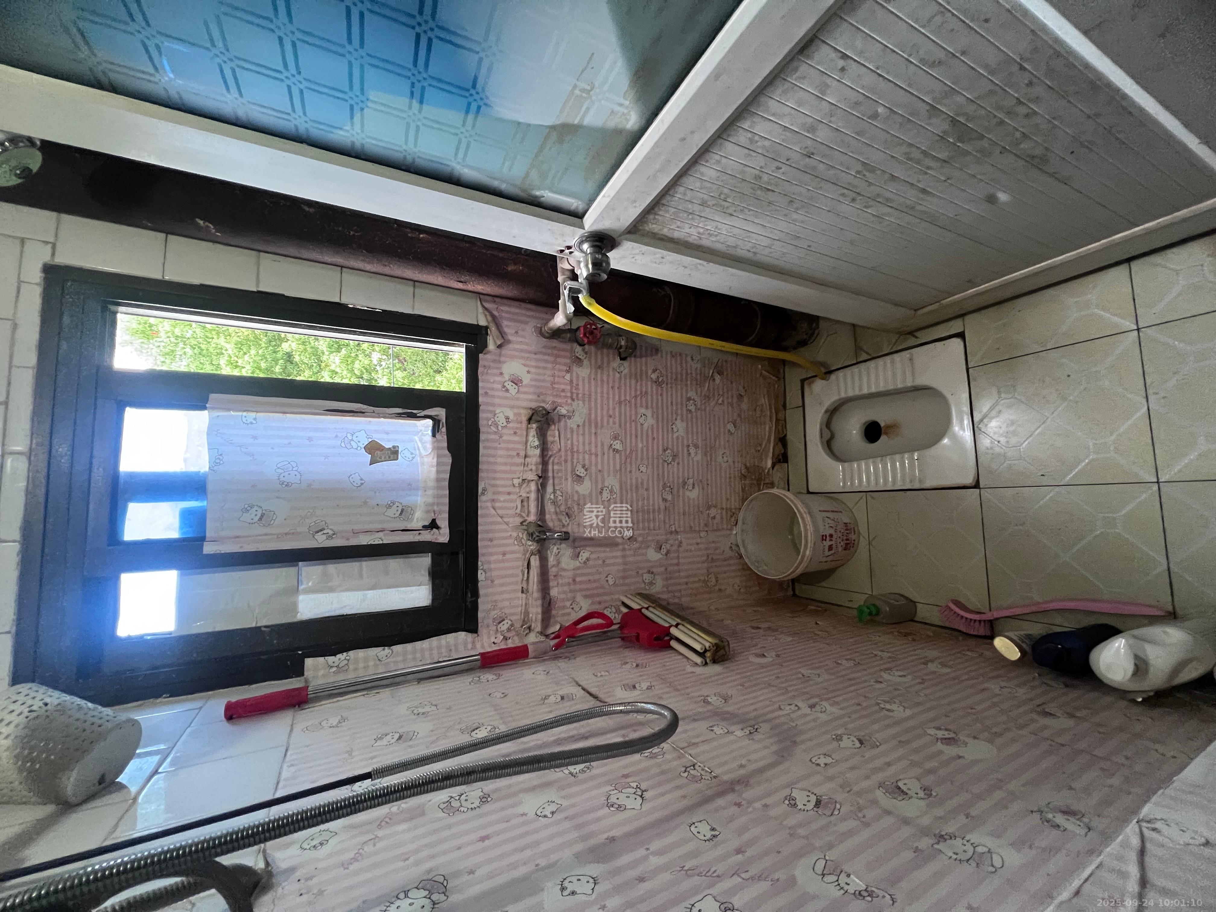 五一东村  1室0厅1卫    1000.0元/月室内图