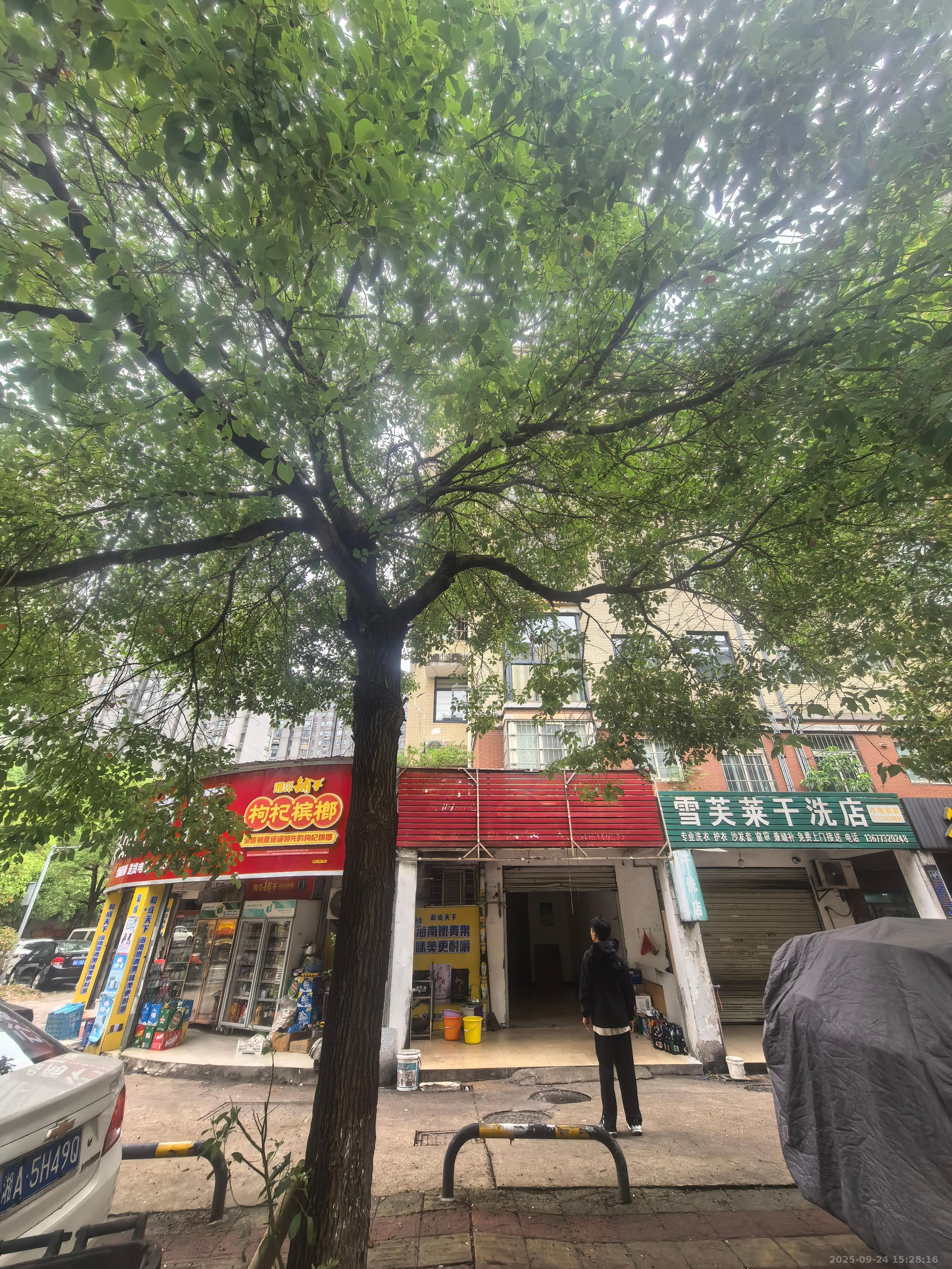 鄱阳小区   36.83㎡      1600.0元/月室内图