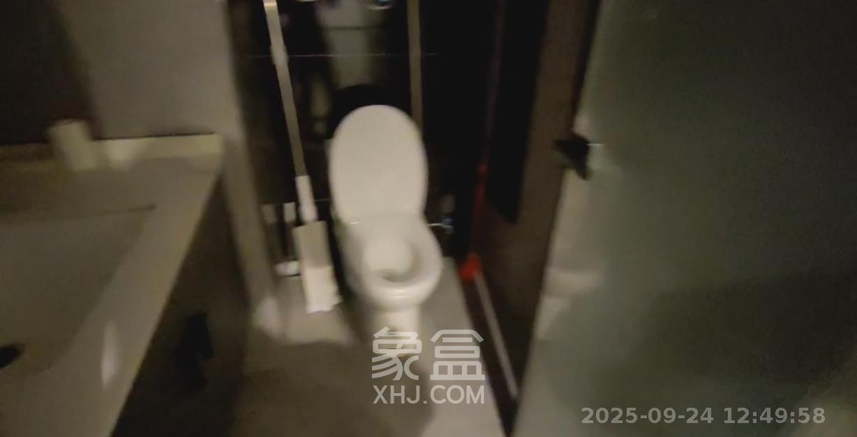 龙湖新壹城  1室1厅1卫    1500.0元/月室内图