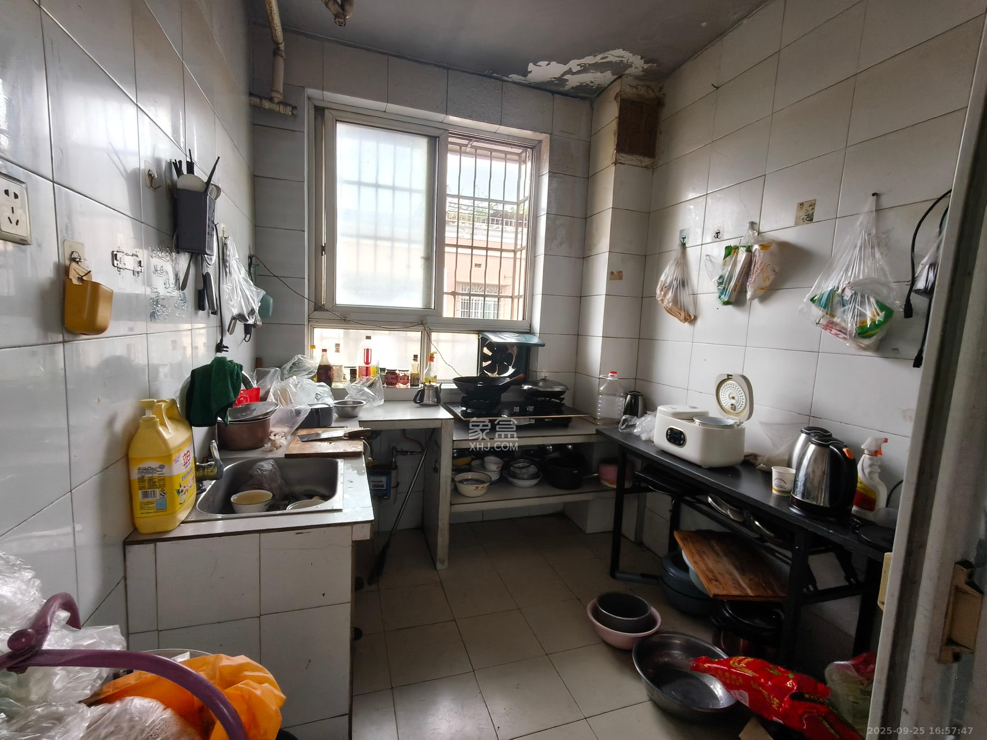 高桥社区高福星小区 3室1厅1卫 1800.0元/月 高桥社区高福星小区 3室1厅1卫 1800.0元/月室内图