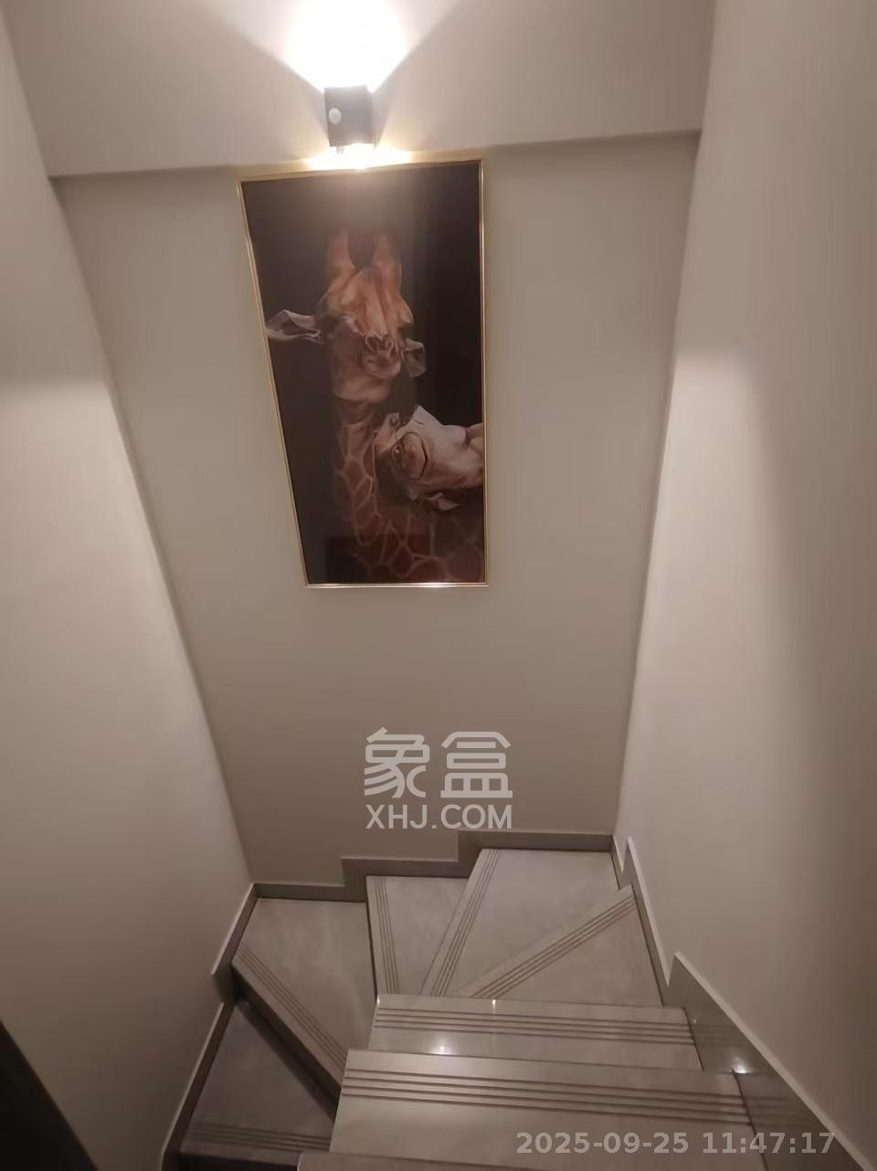 梅溪悦章  1室1厅1卫    1600.0元/月室内图