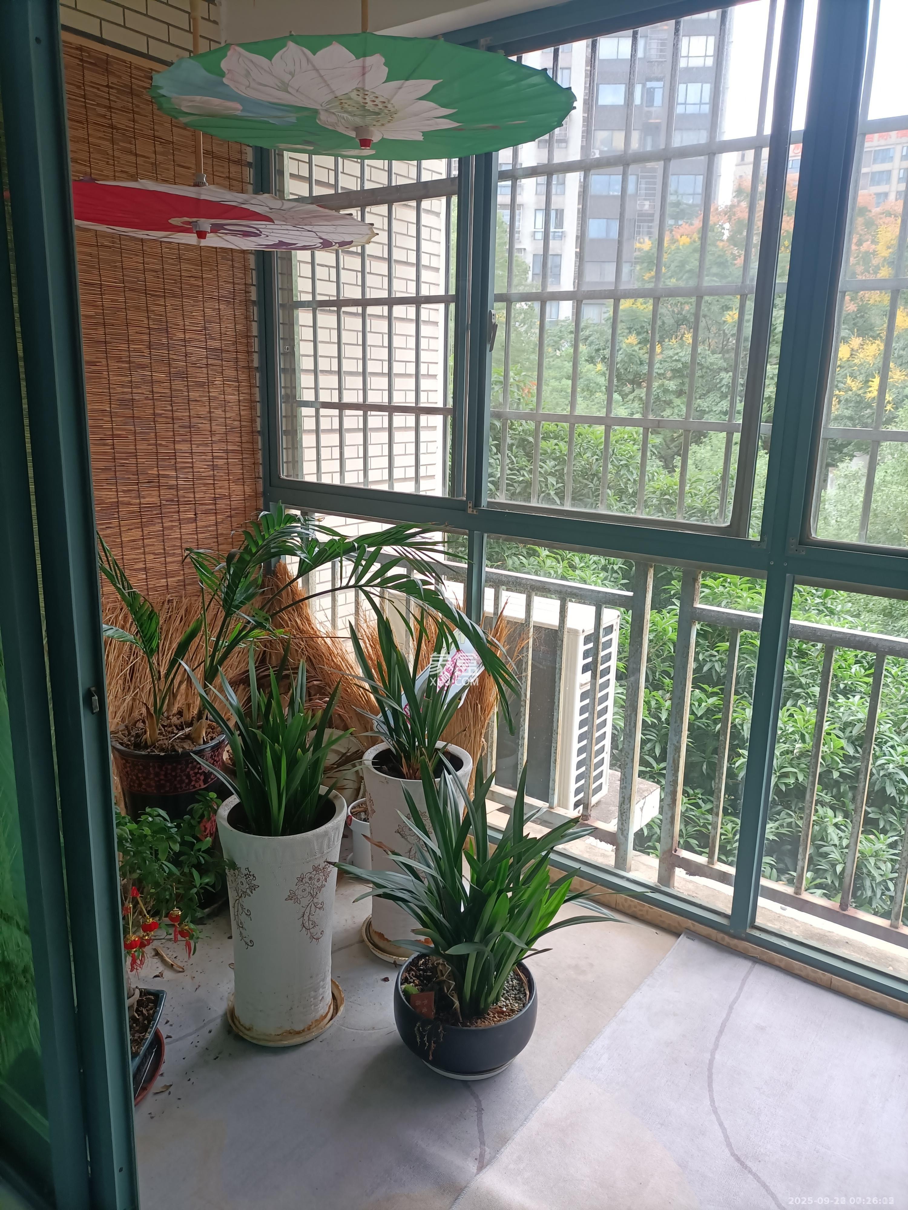 柠檬丽都  3室2厅2卫    2400.0元/月 柠檬丽都  3室2厅2卫    2400.0元/月室内图