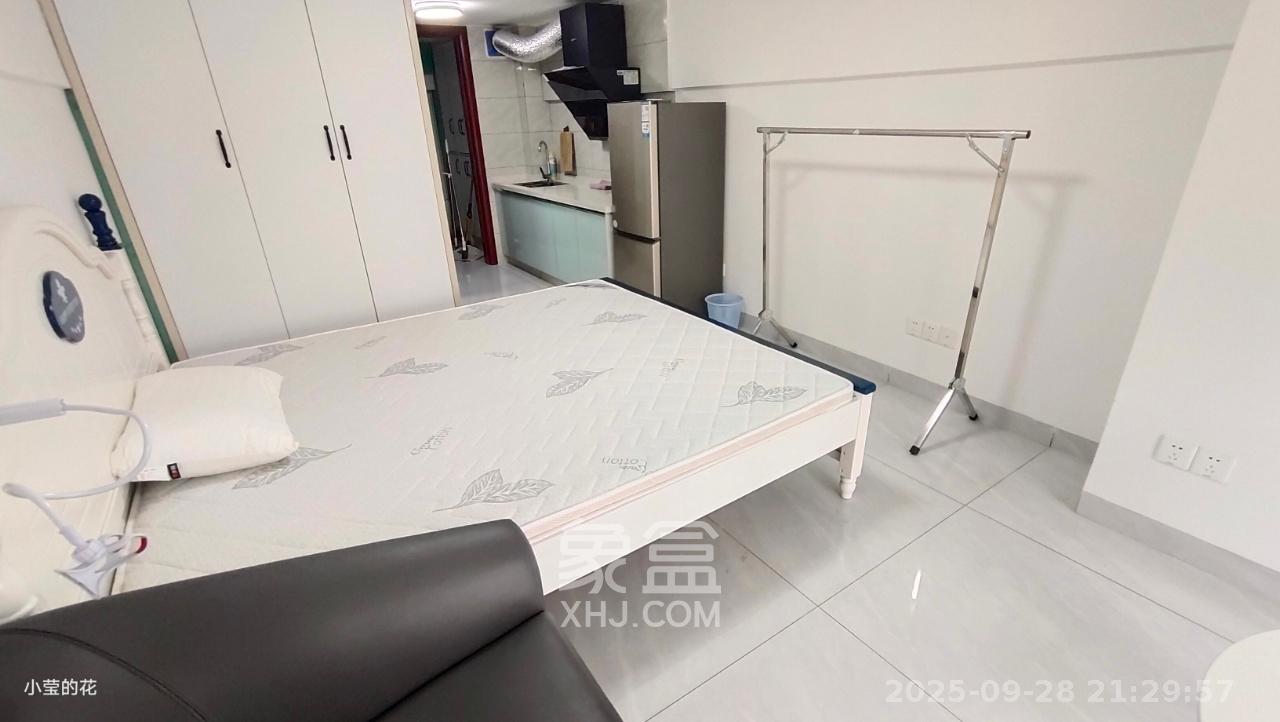 龙湖湘江星座(祺鑫星座公寓) 1室1厅1卫 1000.0元/月 龙湖湘江星座(祺鑫星座公寓) 1室1厅1卫 1000.0元/月室内图