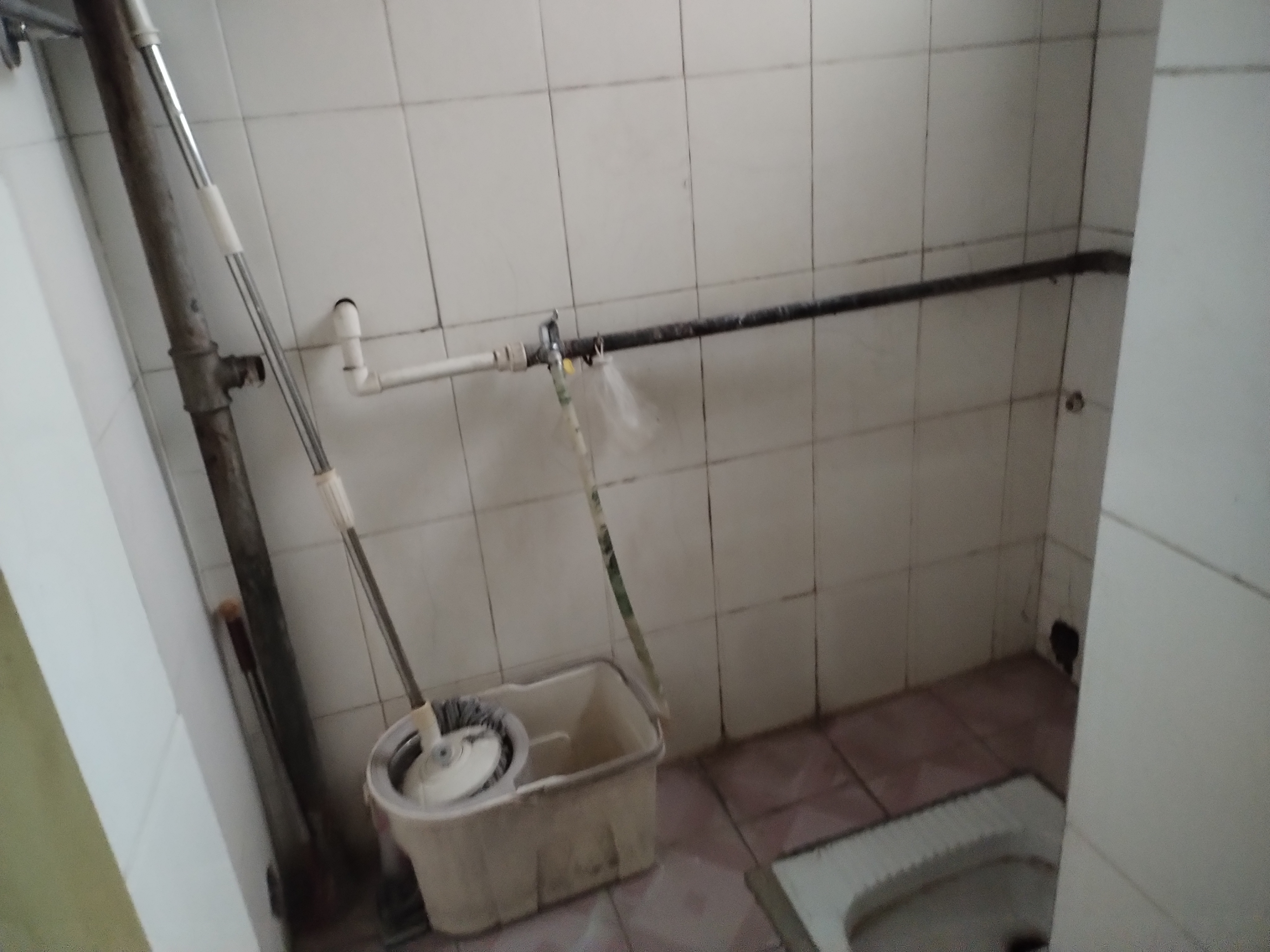 凤阳农贸市场  2室1厅1卫    500.0元/月室内图