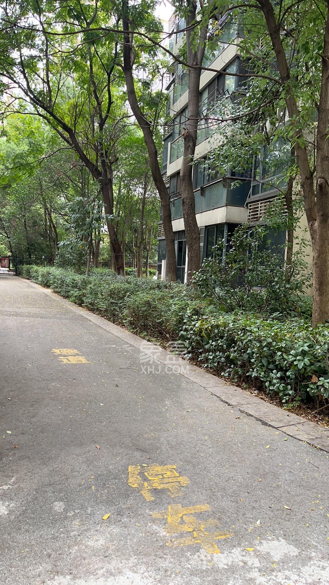 珠江花城二期扶水岸 1室1厅1卫 900.0元/月 珠江花城二期扶水岸 1室1厅1卫 900.0元/月室内图