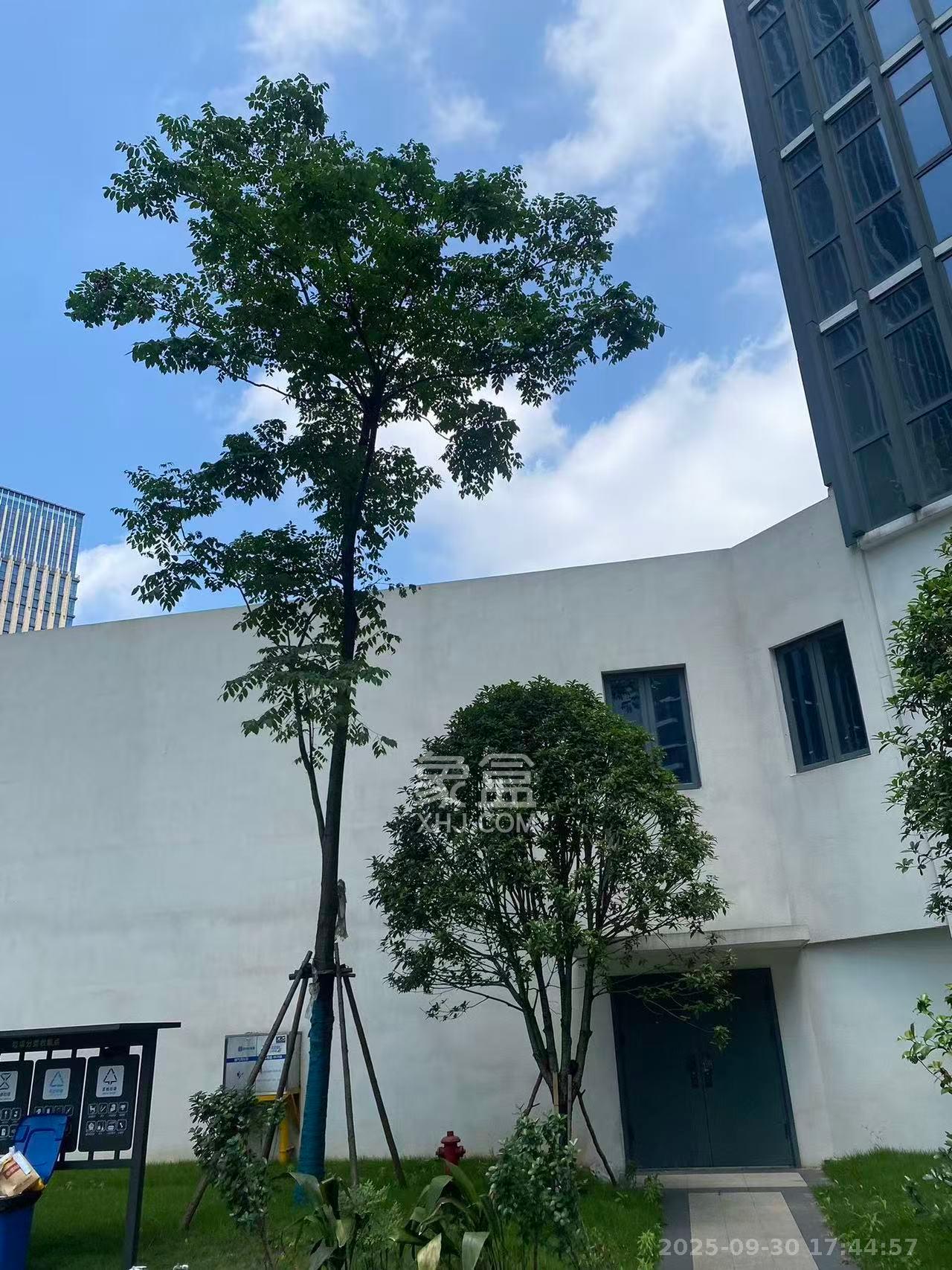 清控湖山雅居北区 1室1厅1卫 1280.0元/月 清控湖山雅居北区 1室1厅1卫 1280.0元/月室内图