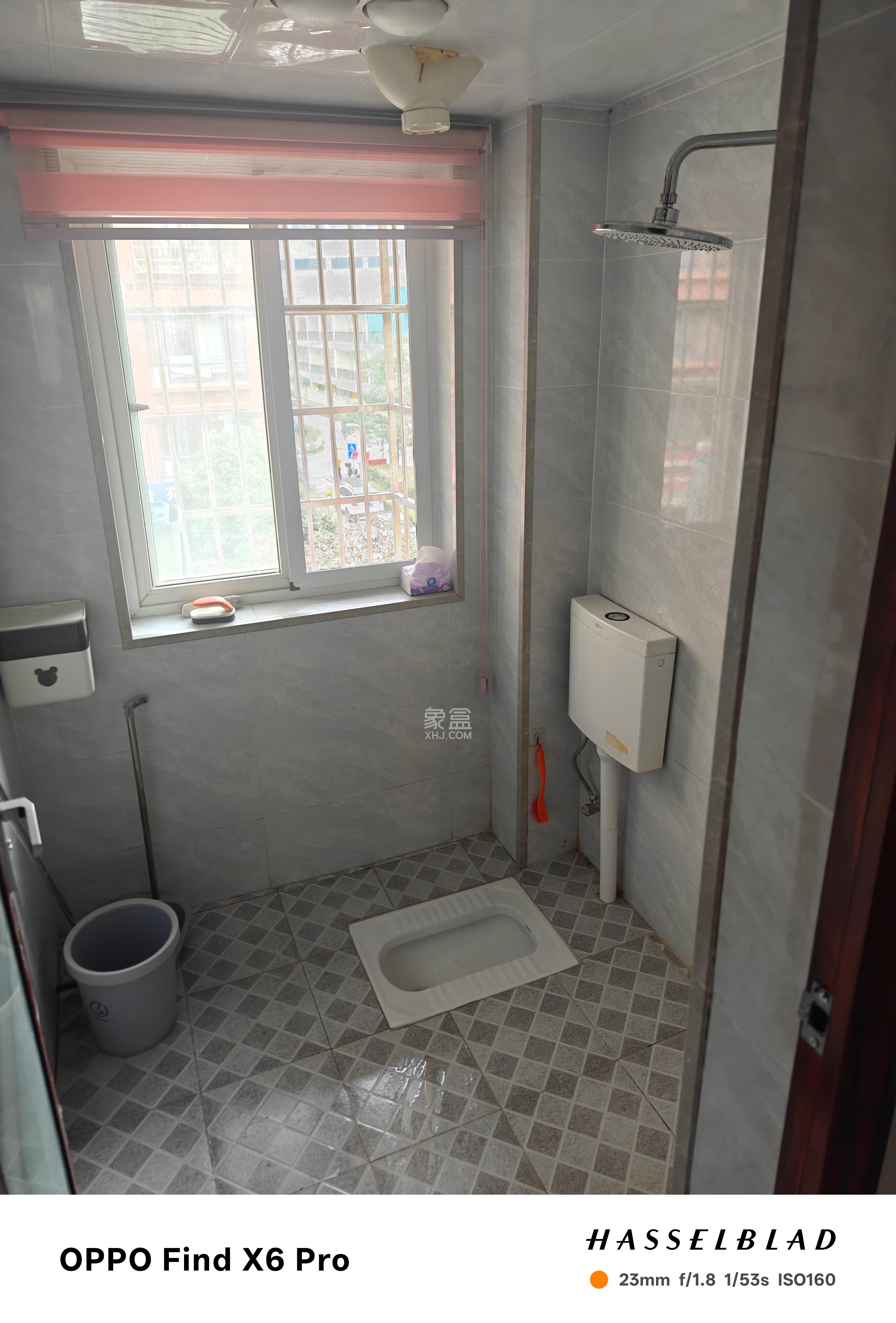 桔洲新苑（桔洲印象）  3室2厅1卫    2000.0元/月室内图