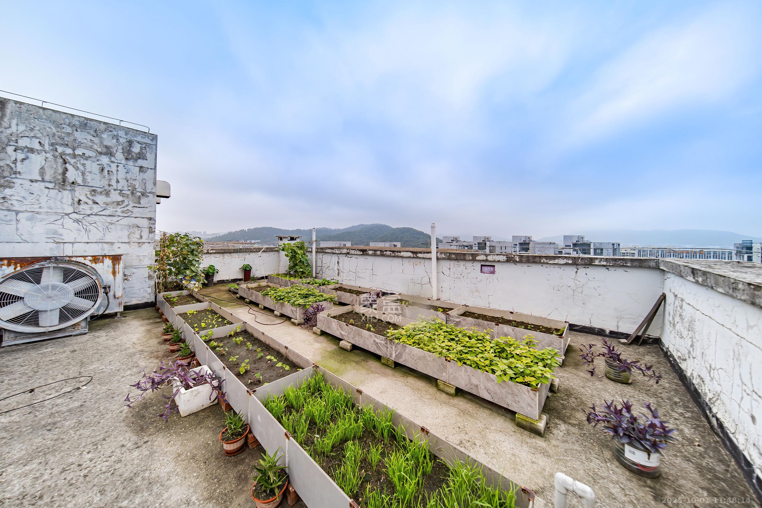 阳光100三期 4室2厅2卫 3600.0元/月 阳光100三期 4室2厅2卫 3600.0元/月室内图