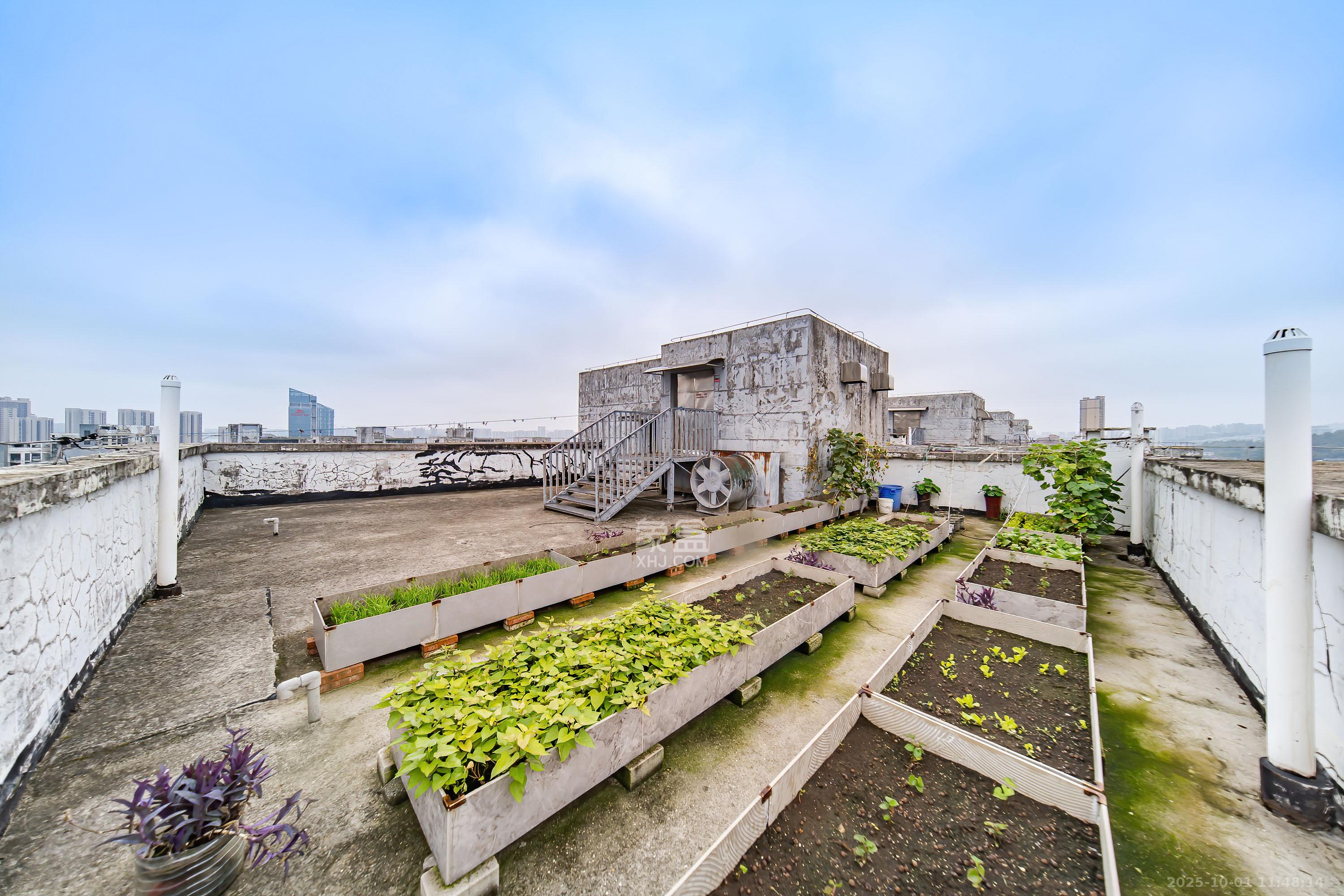 阳光100三期 4室2厅2卫 3600.0元/月 阳光100三期 4室2厅2卫 3600.0元/月室内图