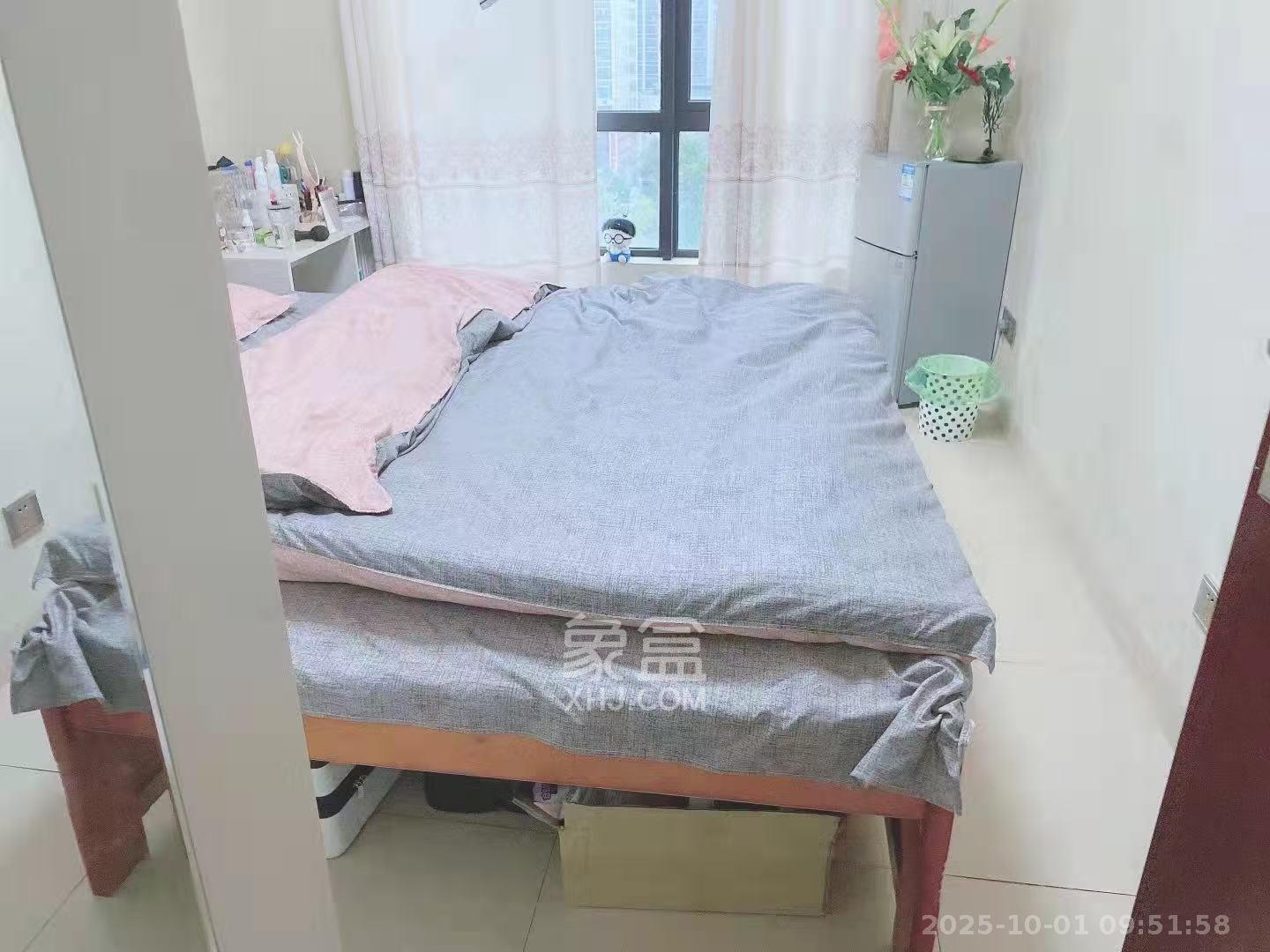 达美D6区  1室1厅1卫   1650.00元/月室内图