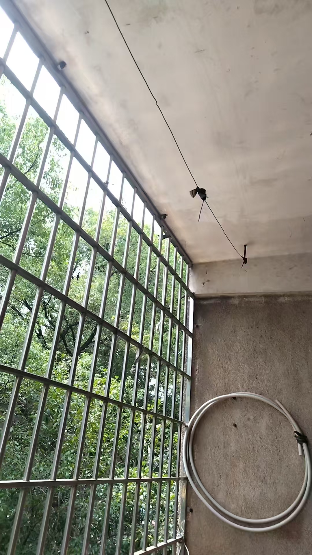 一小家属楼 2室1厅1卫 850.0元/月 一小家属楼 2室1厅1卫 850.0元/月室内图