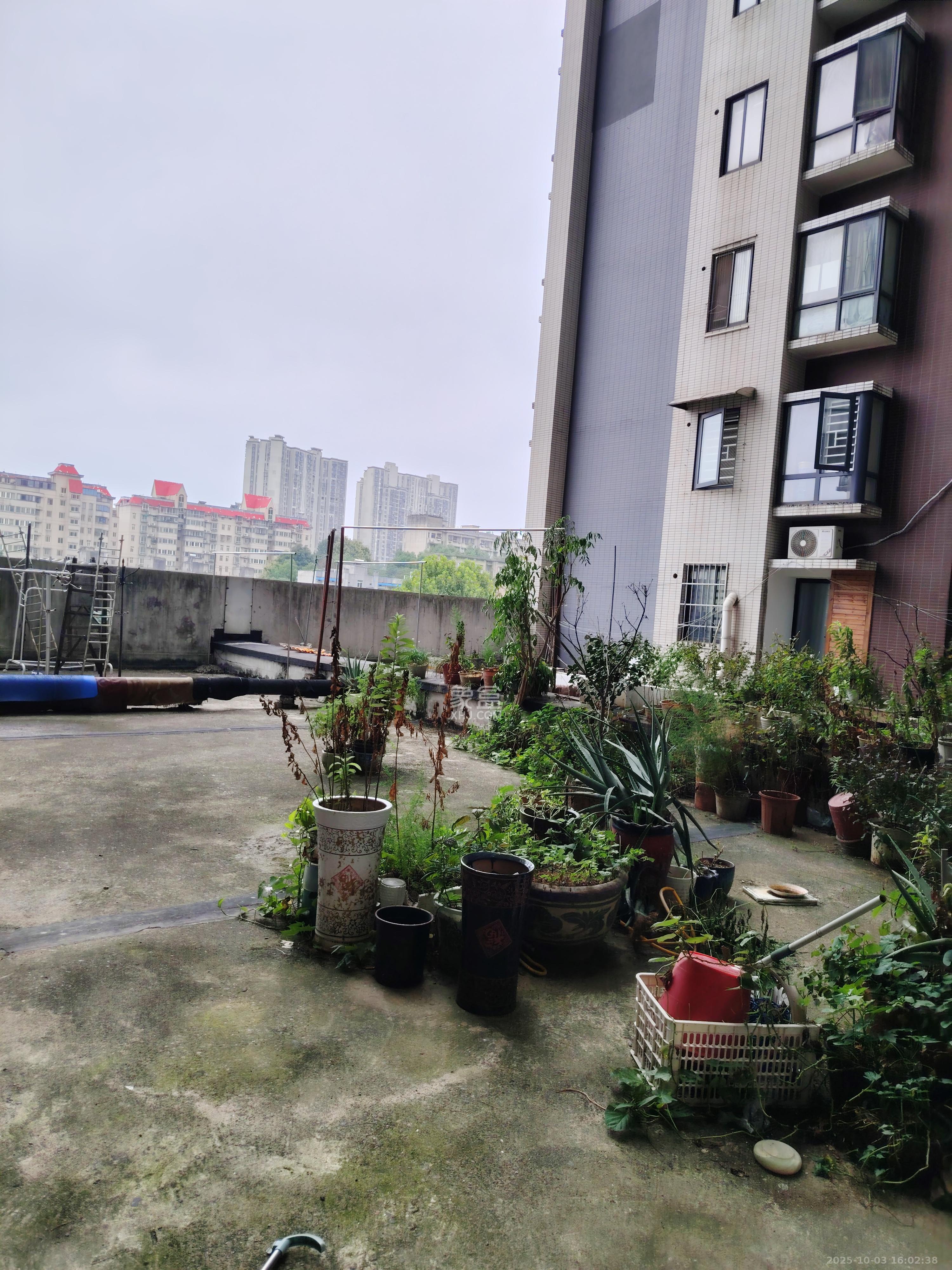 中江佳境天成  1室2厅1卫    2400.0元/月室内图