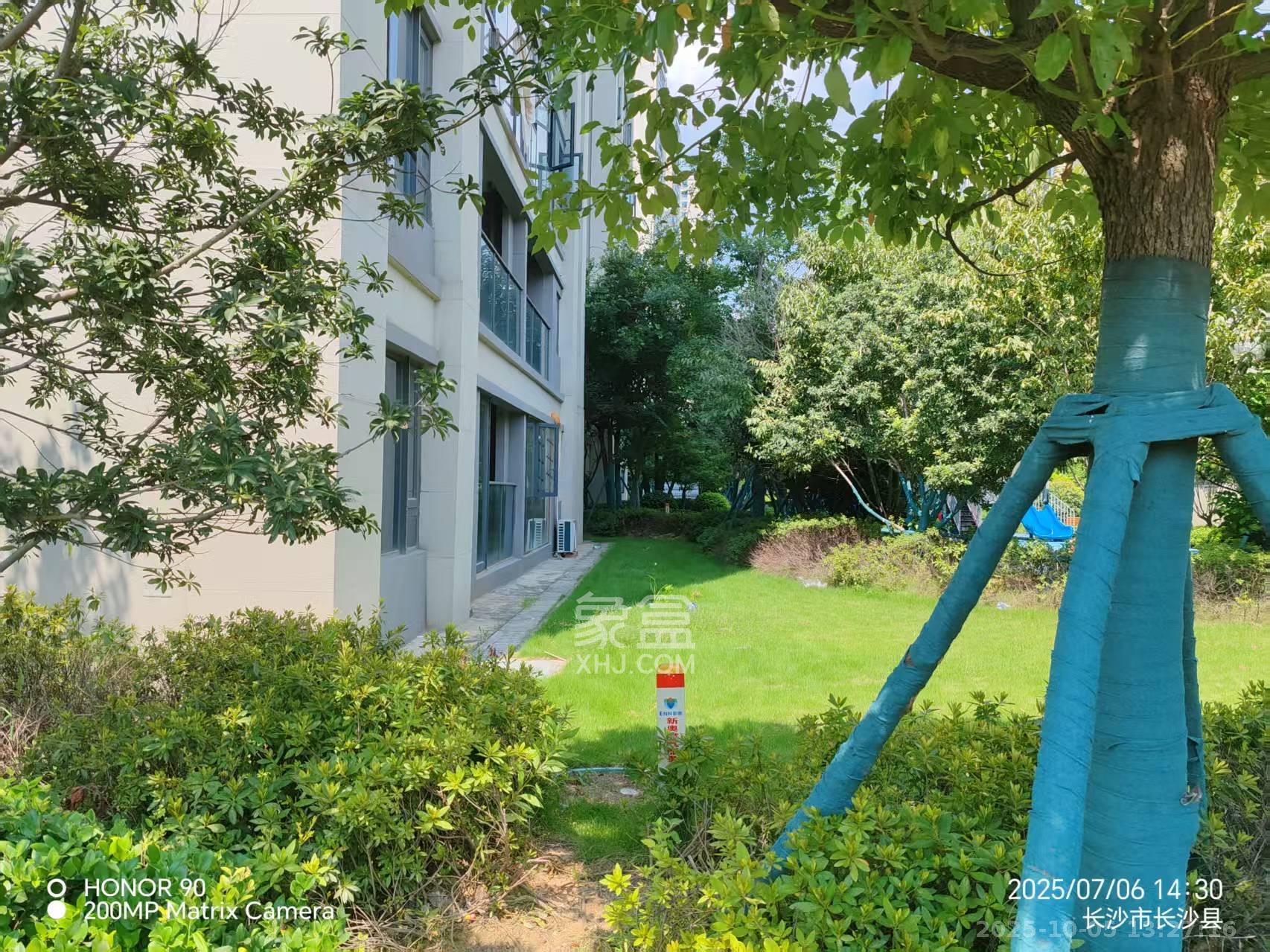 新城明昱东方 3室2厅1卫 1500.0元/月 新城明昱东方 3室2厅1卫 1500.0元/月室内图