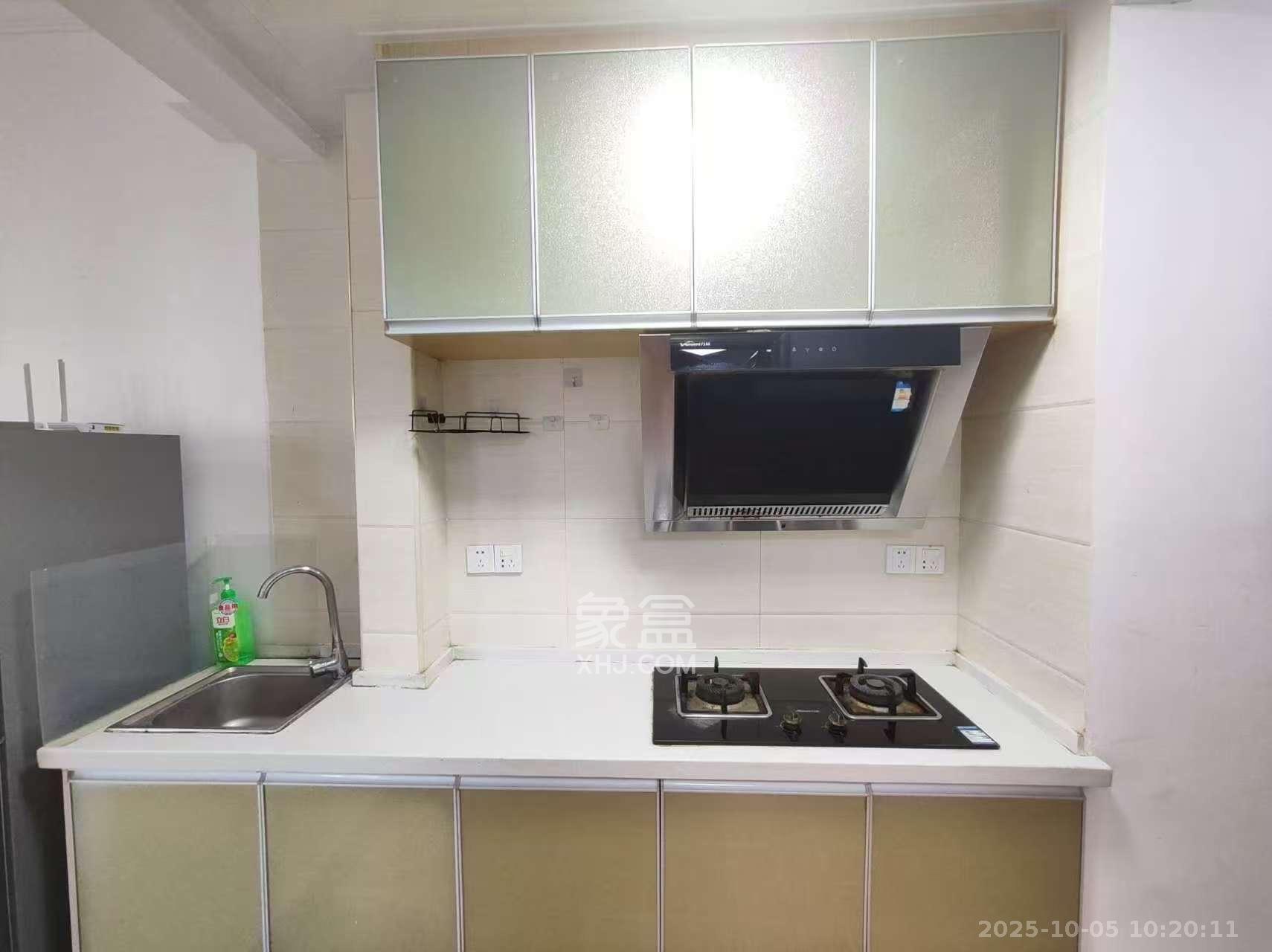 麓谷明珠  1室1厅1卫    1600.0元/月室内图