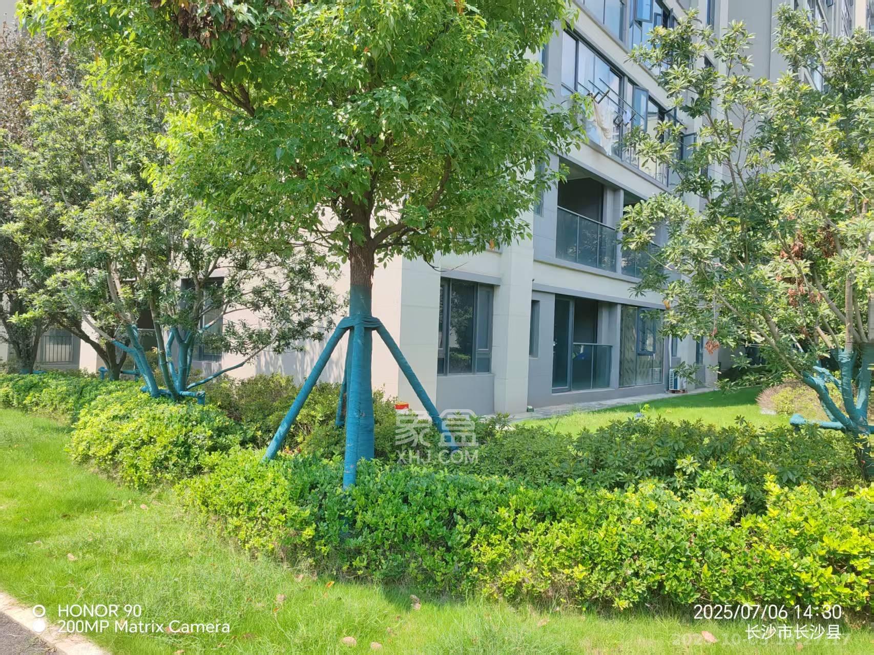 新城明昱东方  3室2厅1卫    1500.0元/月室内图