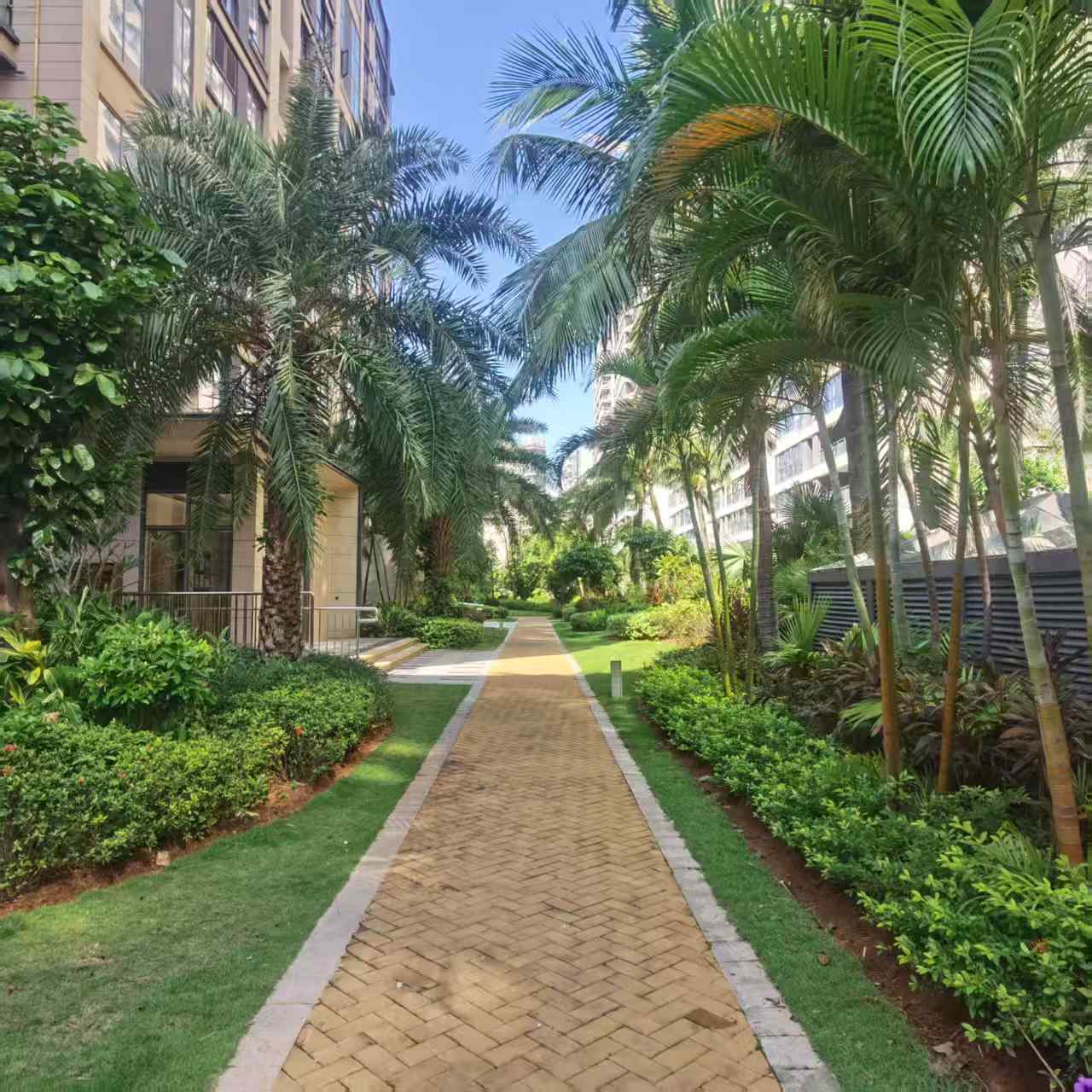 大华锦绣海岸二期 4室2厅2卫 3800.0元/月 大华锦绣海岸二期 4室2厅2卫 3800.0元/月小区图