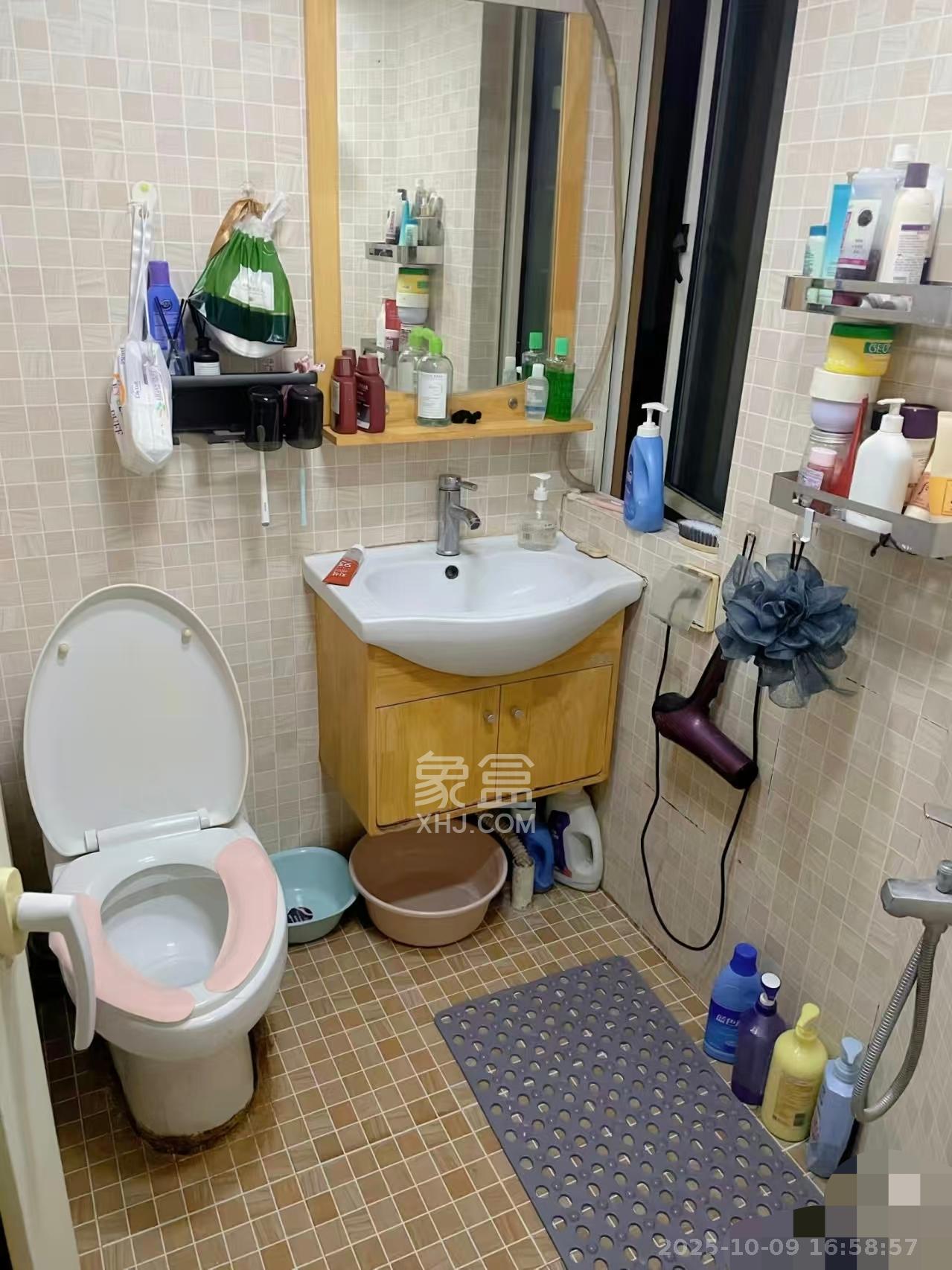 白沙晶城  1室1厅1卫    1800.0元/月室内图