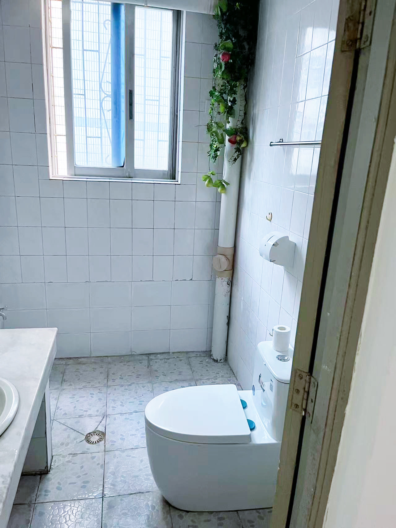 规划局宿舍(金宇路）  3室2厅2卫    2500.0元/月室内图