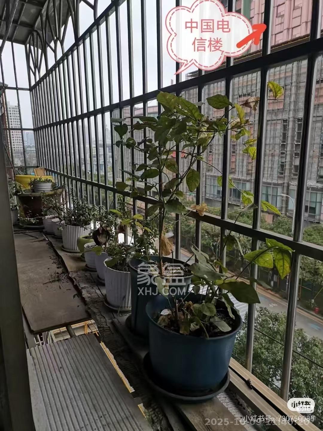 维力宿舍（维力花园）  3室2厅1卫    1800.0元/月